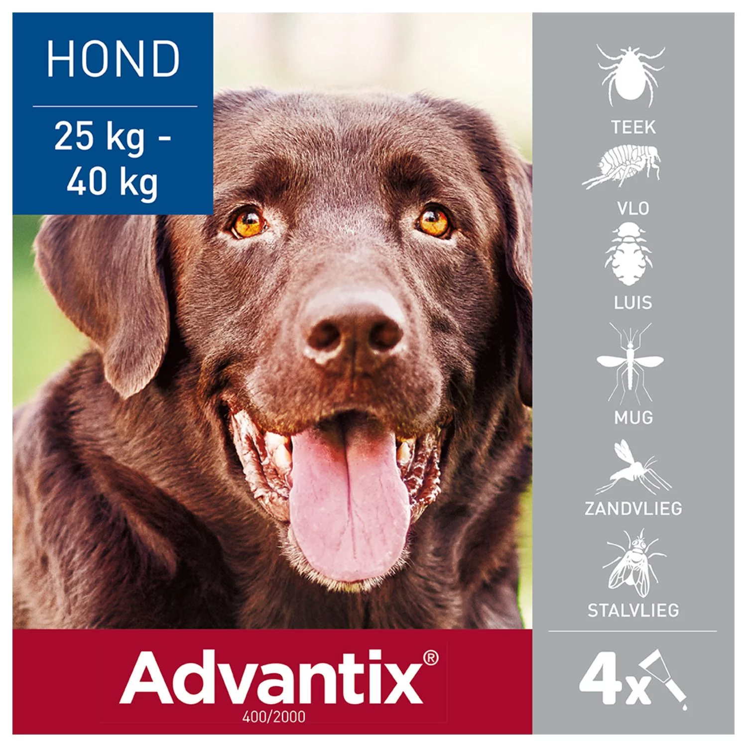 Advantix Spot On 400 4 Ml - Anti Vlooien En Tekenmiddel - Afbeelding 2