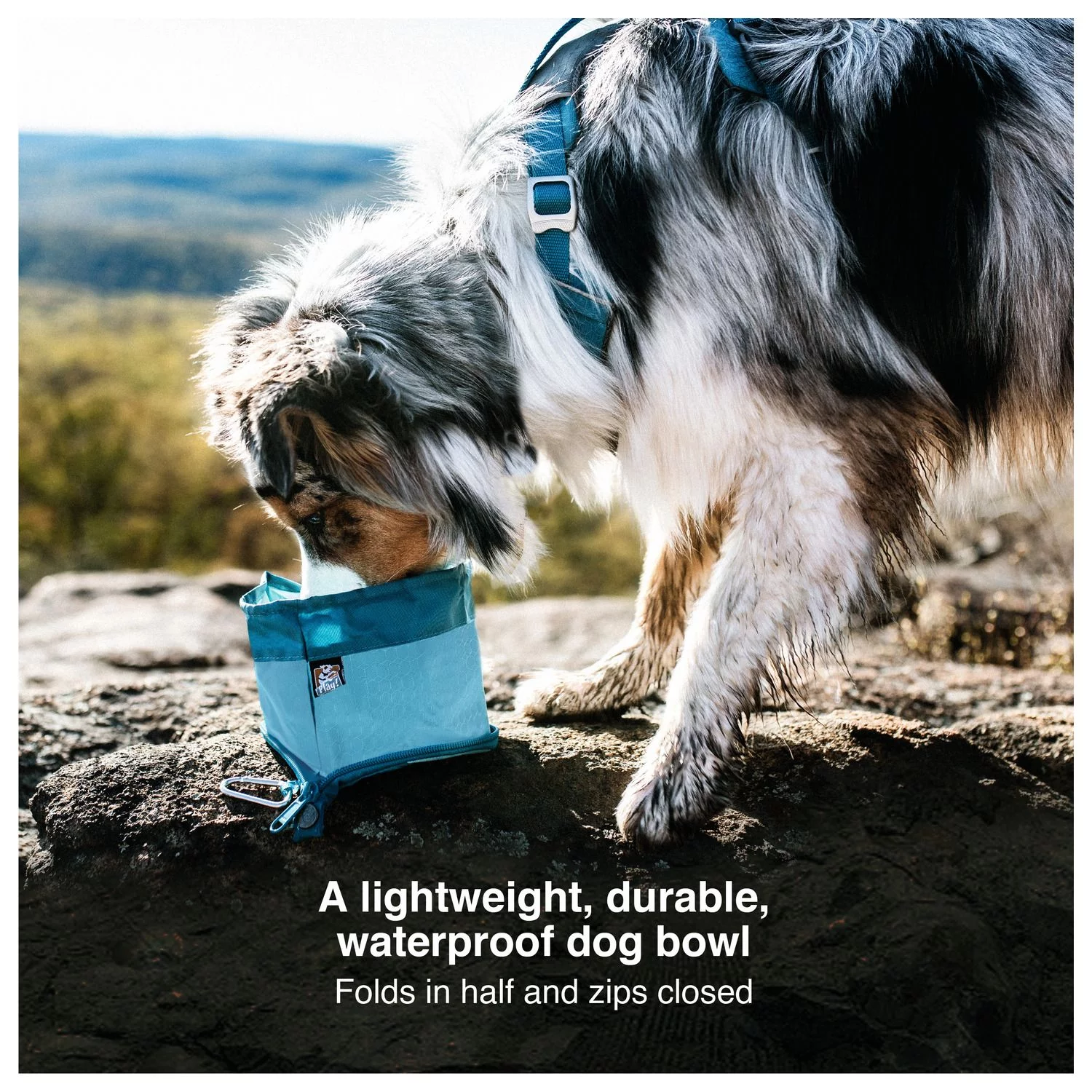 Kurgo Zippy Bowl - Opvouwbare Reisvoerbak - Hondenvoerbak - Afbeelding 5