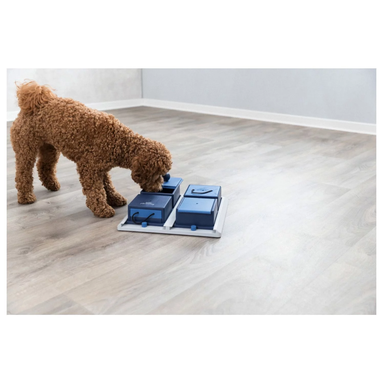 Trixie Dog Activity Poker Box 1 Strategiespel - Hondenspeelgoed - 31x31 Cm Donkerblauw Wit Level 2 - Afbeelding 6