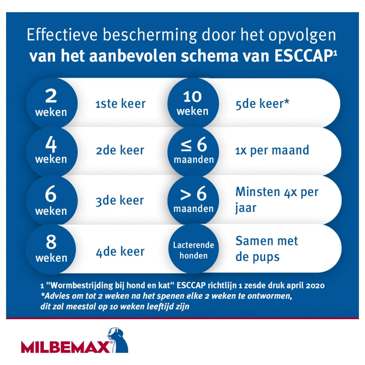 Milbemax Milbemax Hond - Anti Wormenmiddel - 2 Tab 10-50kg - Afbeelding 7