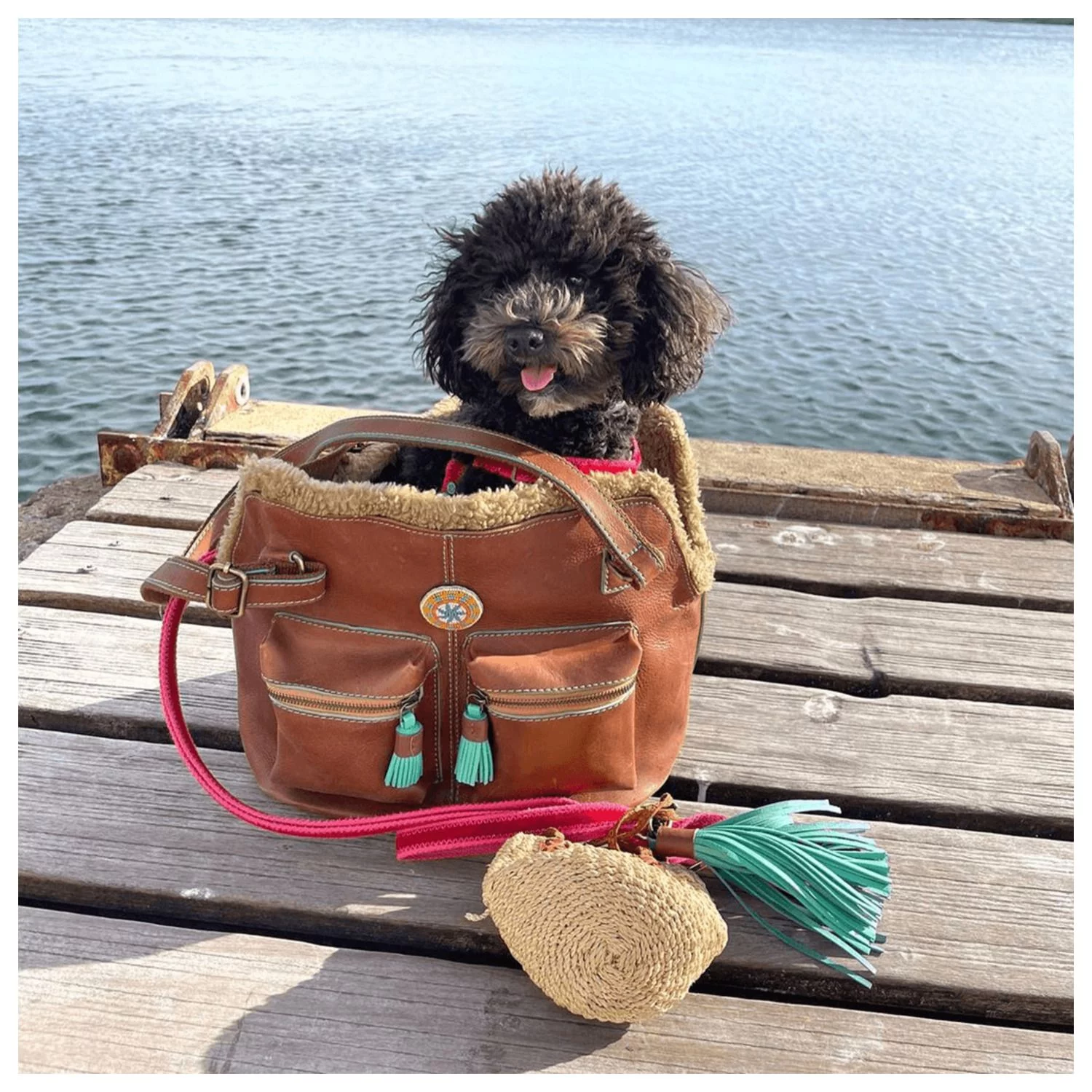 Dwam Hondentas Hipster Bag Blondie - Hondendraagtas - 32x20x27 Cm Bruin - Afbeelding 5