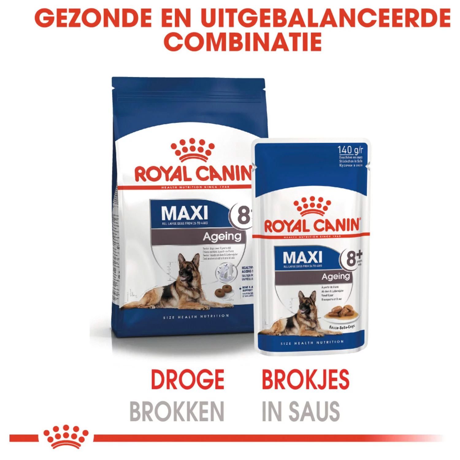 Royal Canin Maxi Ageing 8+ Natvoer - Hondenvoer - 10x140 G - Afbeelding 6