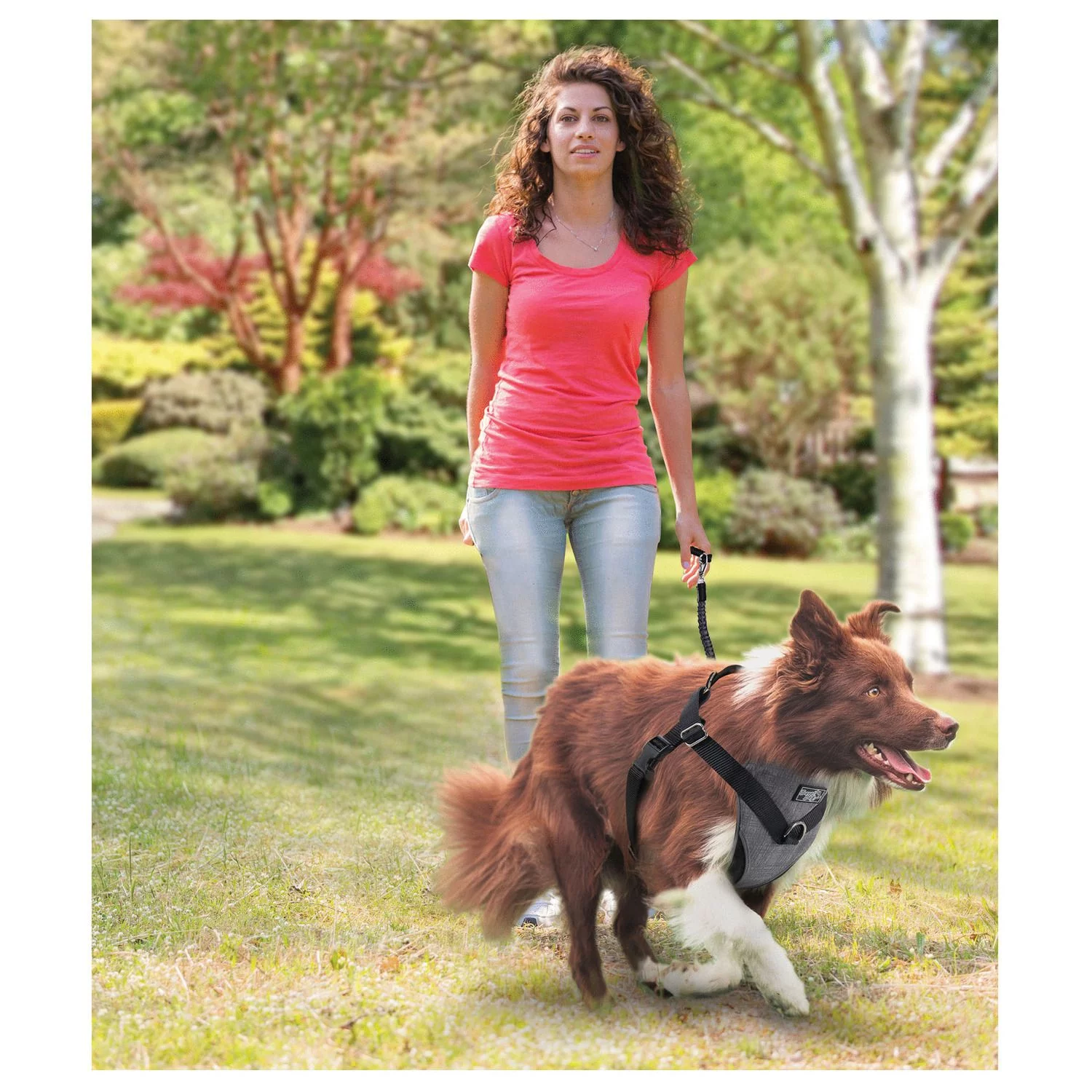 All For Paws Honden Autogordel - Hondenautoaccessoire - Nek30-50/Borst 41-56 Cm Grijs - Afbeelding 5