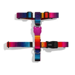 Zee.Dog H-Harnas Prisma Multi-Color - Hondentuig
