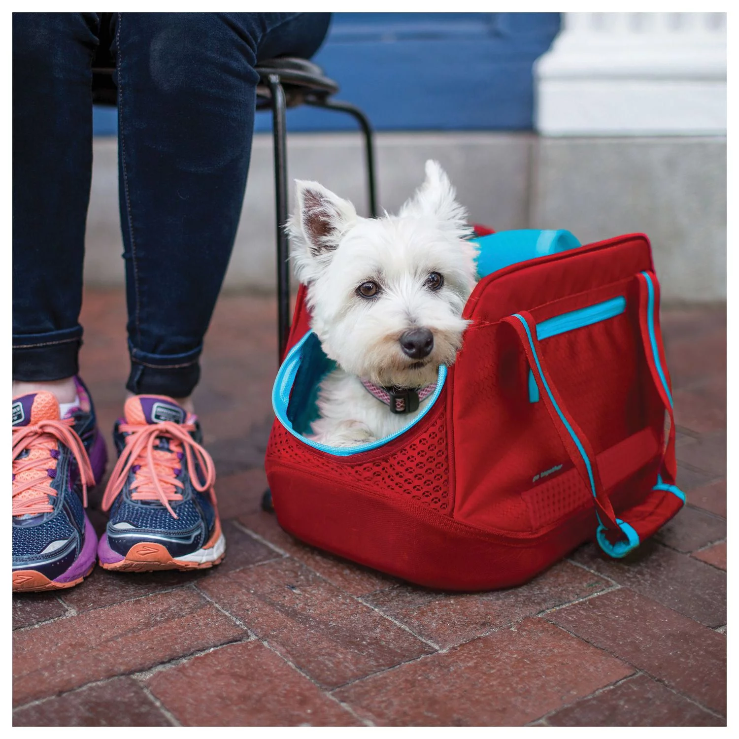 Kurgo Explorer Carrier - Hondenautoaccessoire - 46x25x25 Cm Rood Blauw S - Afbeelding 4