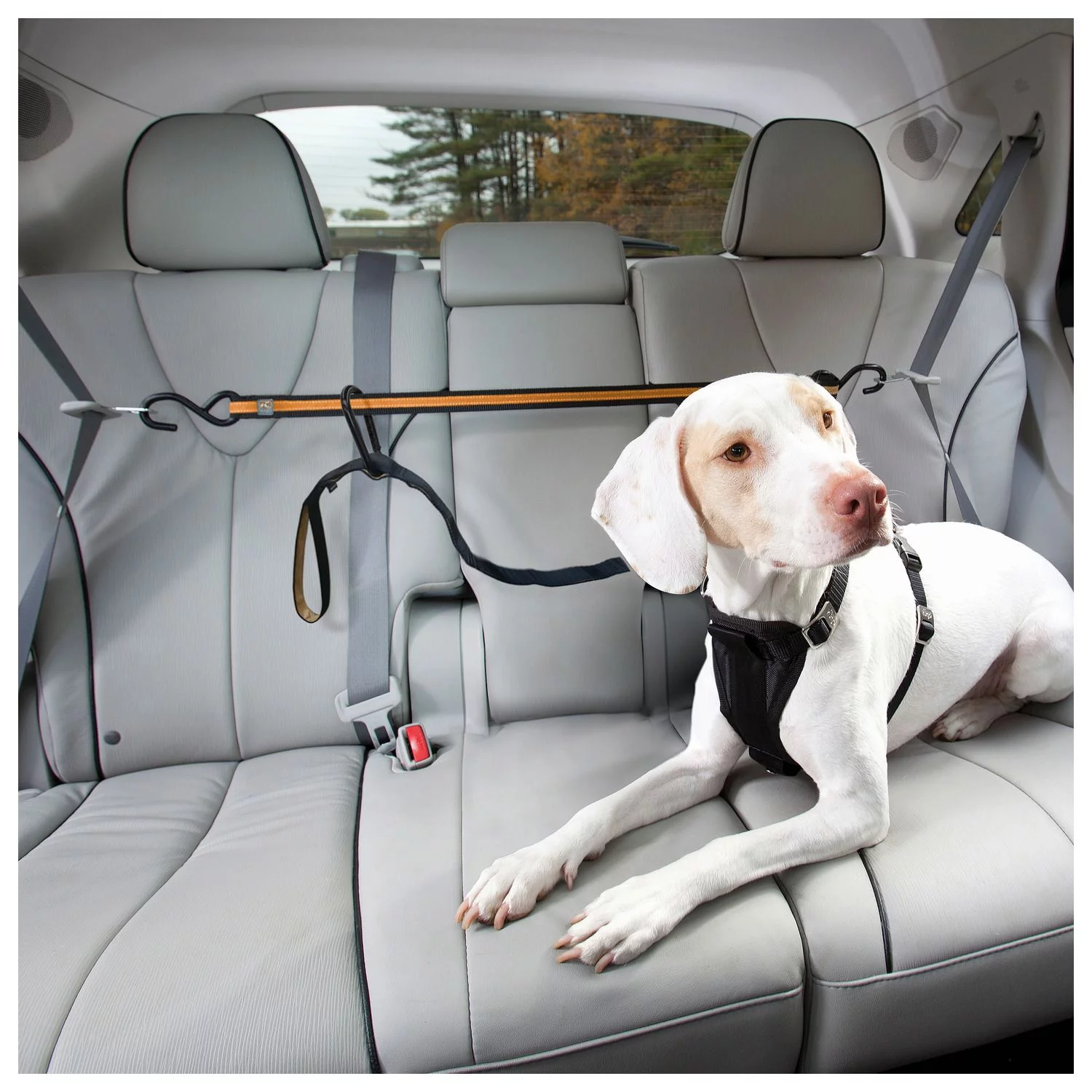 Kurgo Auto Zip Line - Hondenautoaccessoire - Zwart Oranje - Afbeelding 7