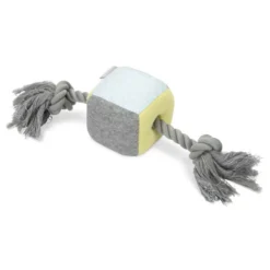 Beeztees Puppy Touwtrekker Kubi - Hondenspeelgoed - 35x80x80 Cm Multi-Color