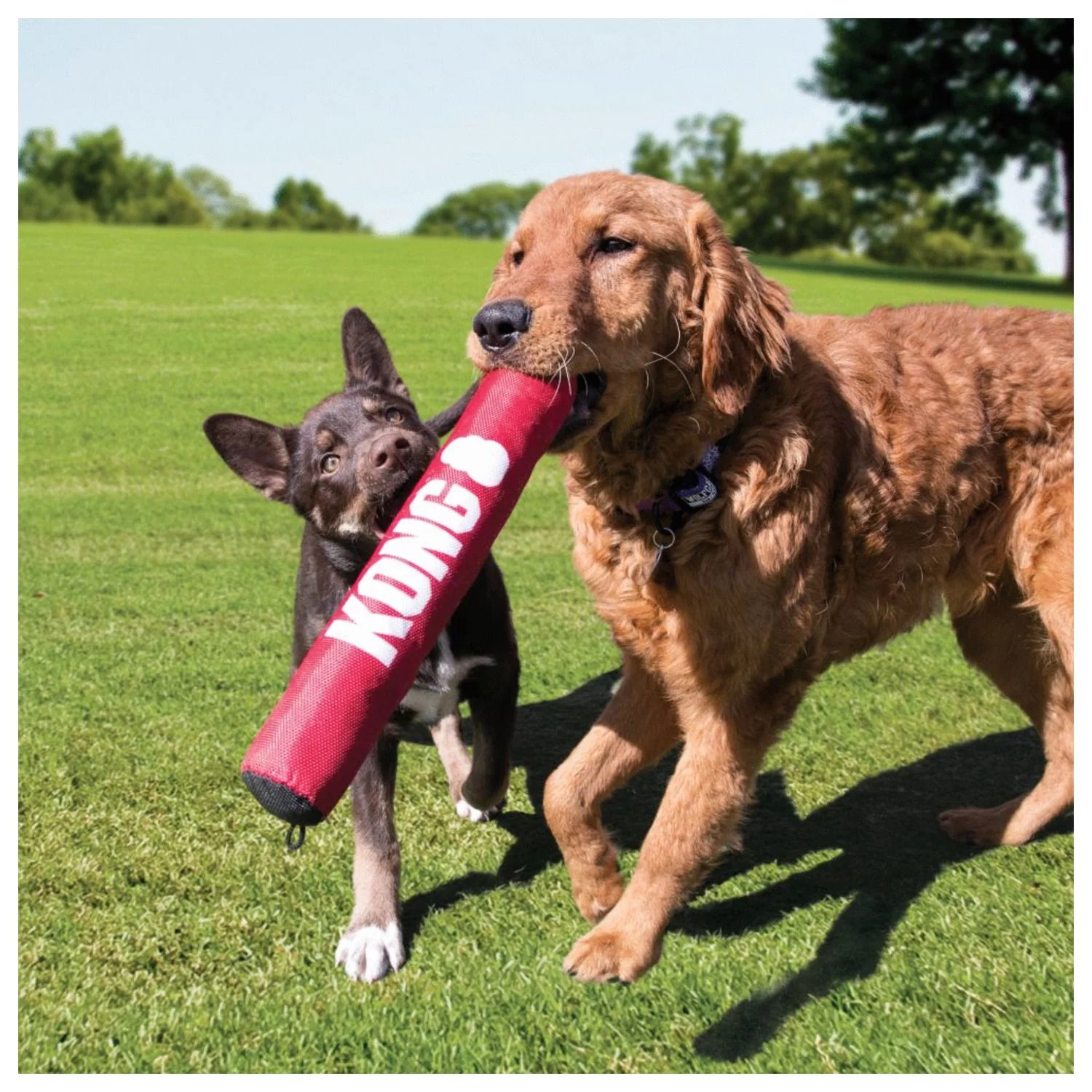 Kong Signature Stick - Hondenspeelgoed - - Afbeelding 3