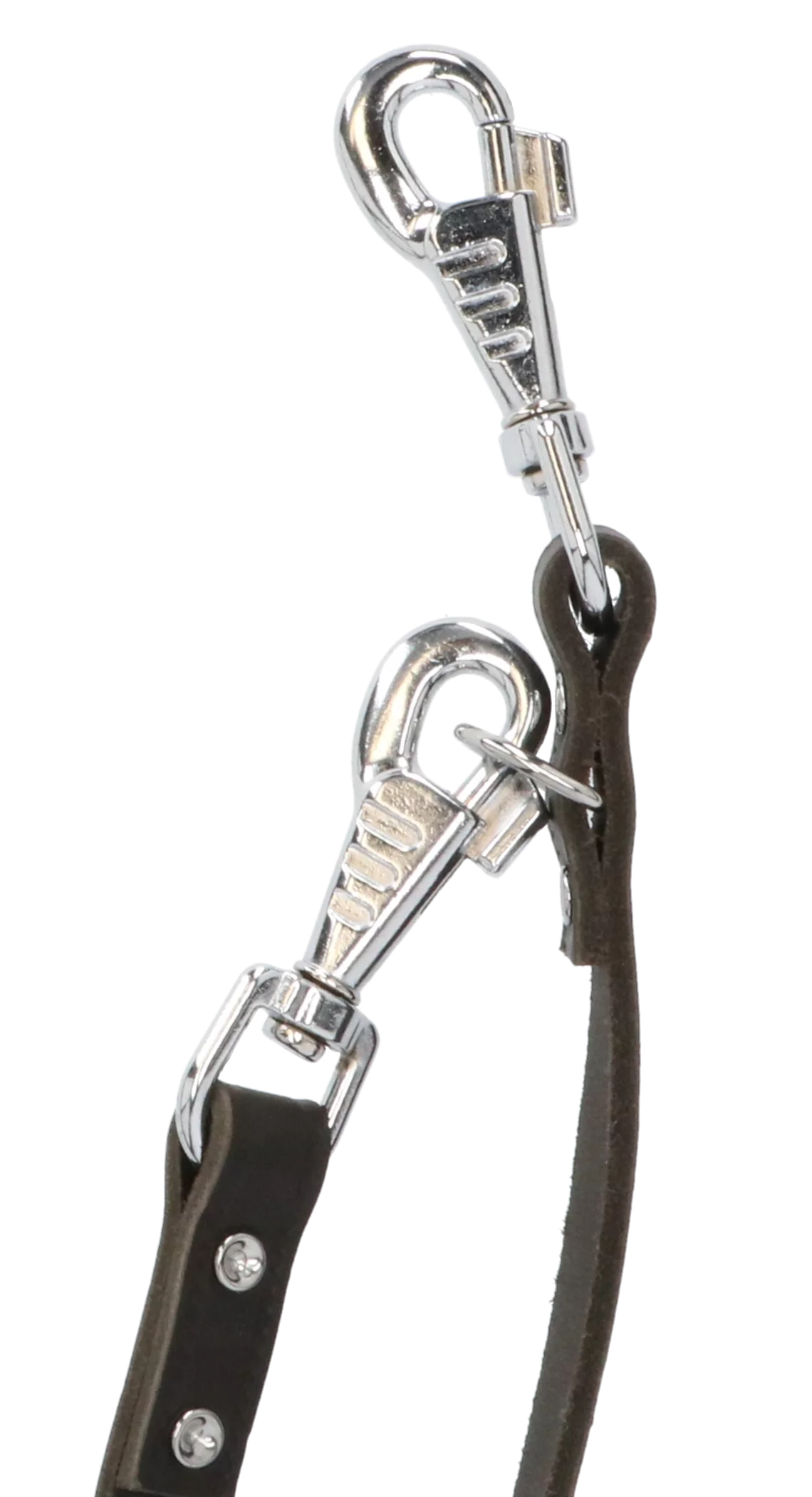 Adori Dresseerlijn Softleder Met Print - Hondenriem - 300x1.8 Cm Donkerbruin M/L - Afbeelding 3