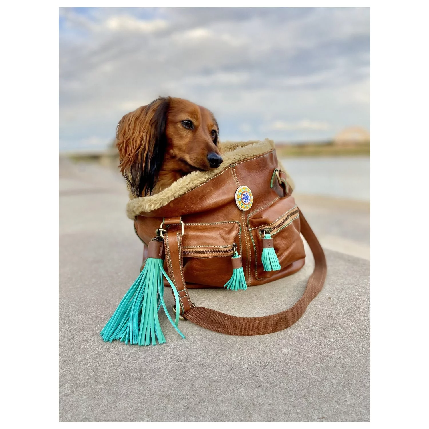 Dwam Hondentas Hipster Bag Blondie - Hondendraagtas - 32x20x27 Cm Bruin - Afbeelding 4