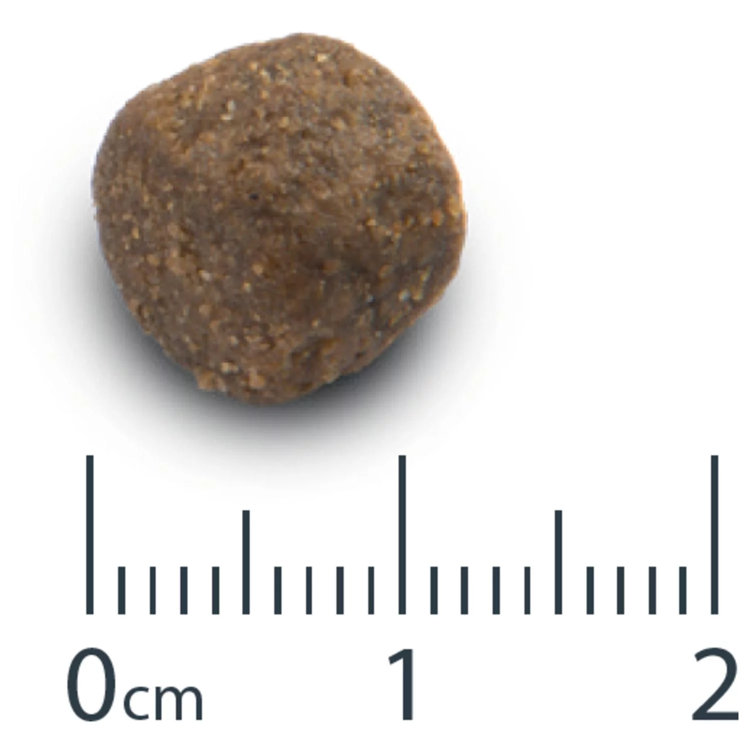 Opti Life Senior Medium-Maxi - Hondenvoer - 12.5 Kg - Afbeelding 3