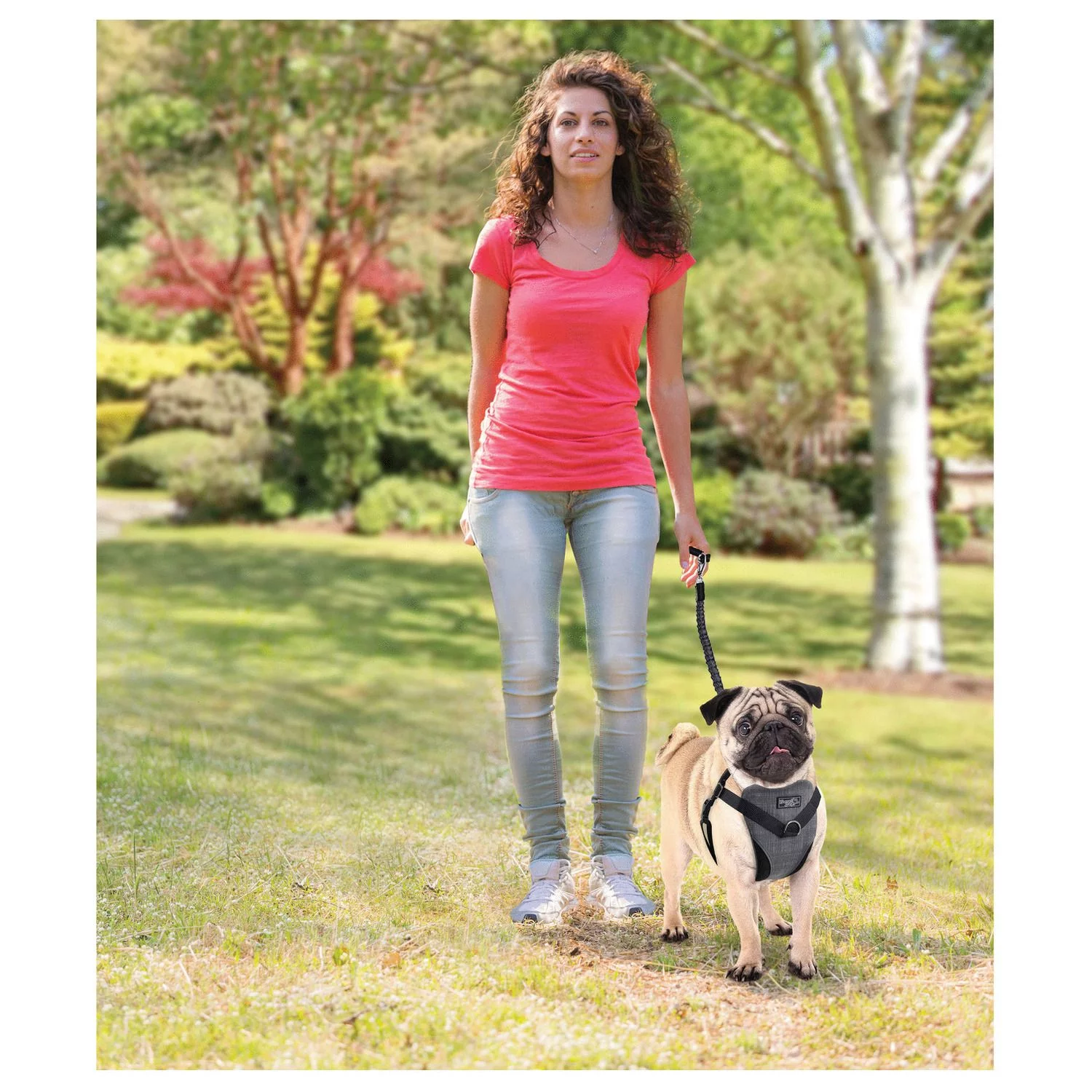 All For Paws Honden Autogordel - Hondenautoaccessoire - Nek30-50/Borst 41-56 Cm Grijs - Afbeelding 6