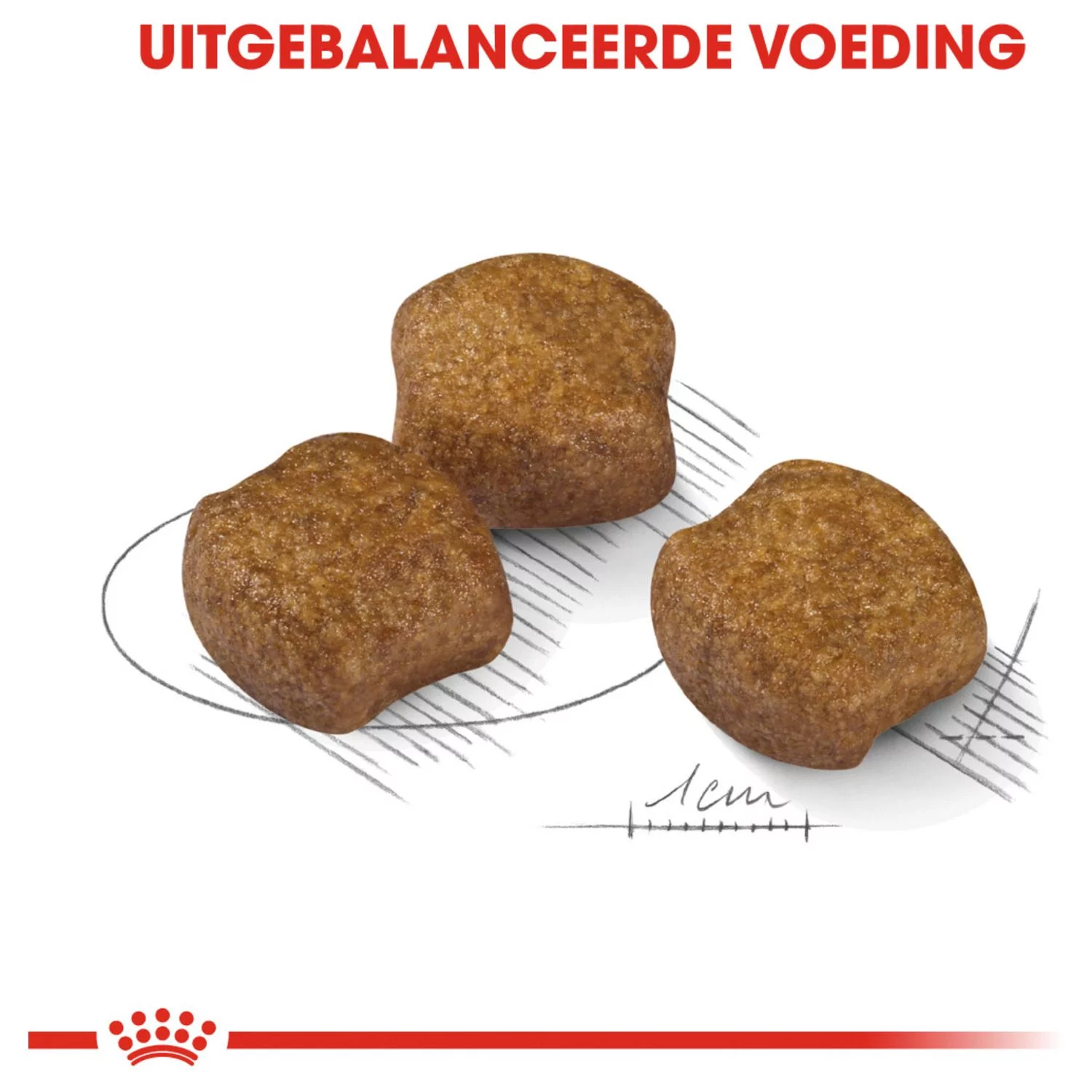 Royal Canin Dental Care Medium - Hondenvoer - Afbeelding 3