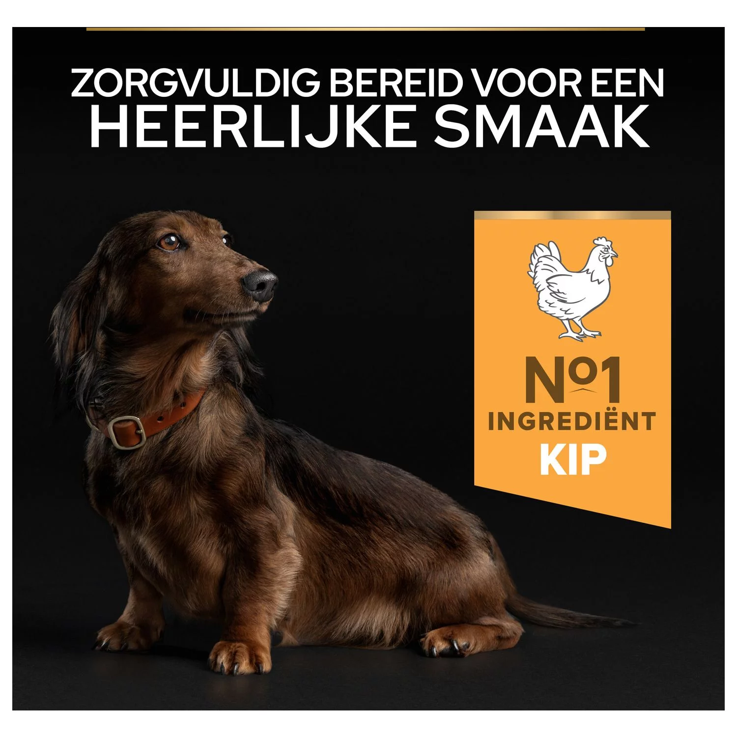 Pro Plan Dog Senior Small & Mini Breed - Hondenvoer - Kip 3 Kg - Afbeelding 9