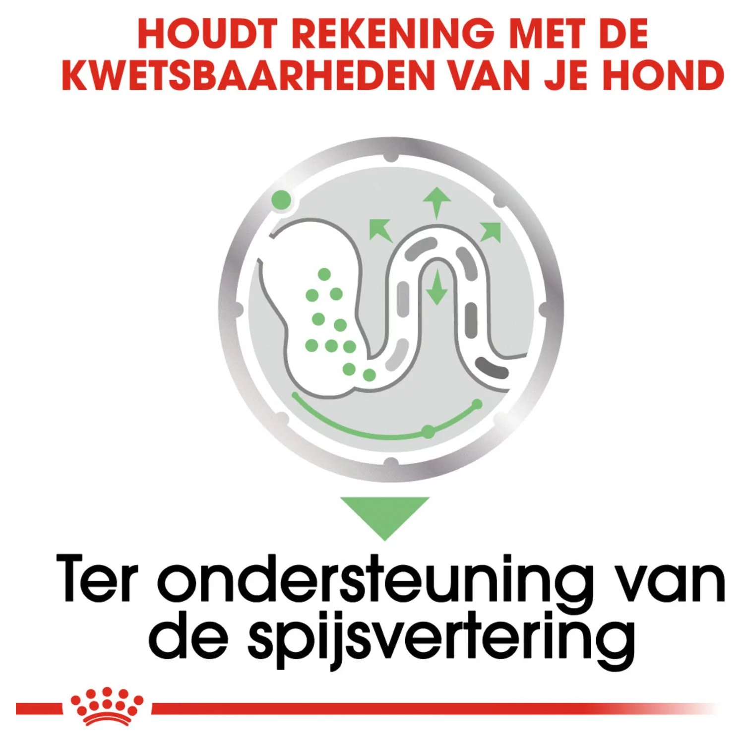 Royal Canin Digestive Care Natvoer - Hondenvoer - 12x85 G - Afbeelding 4