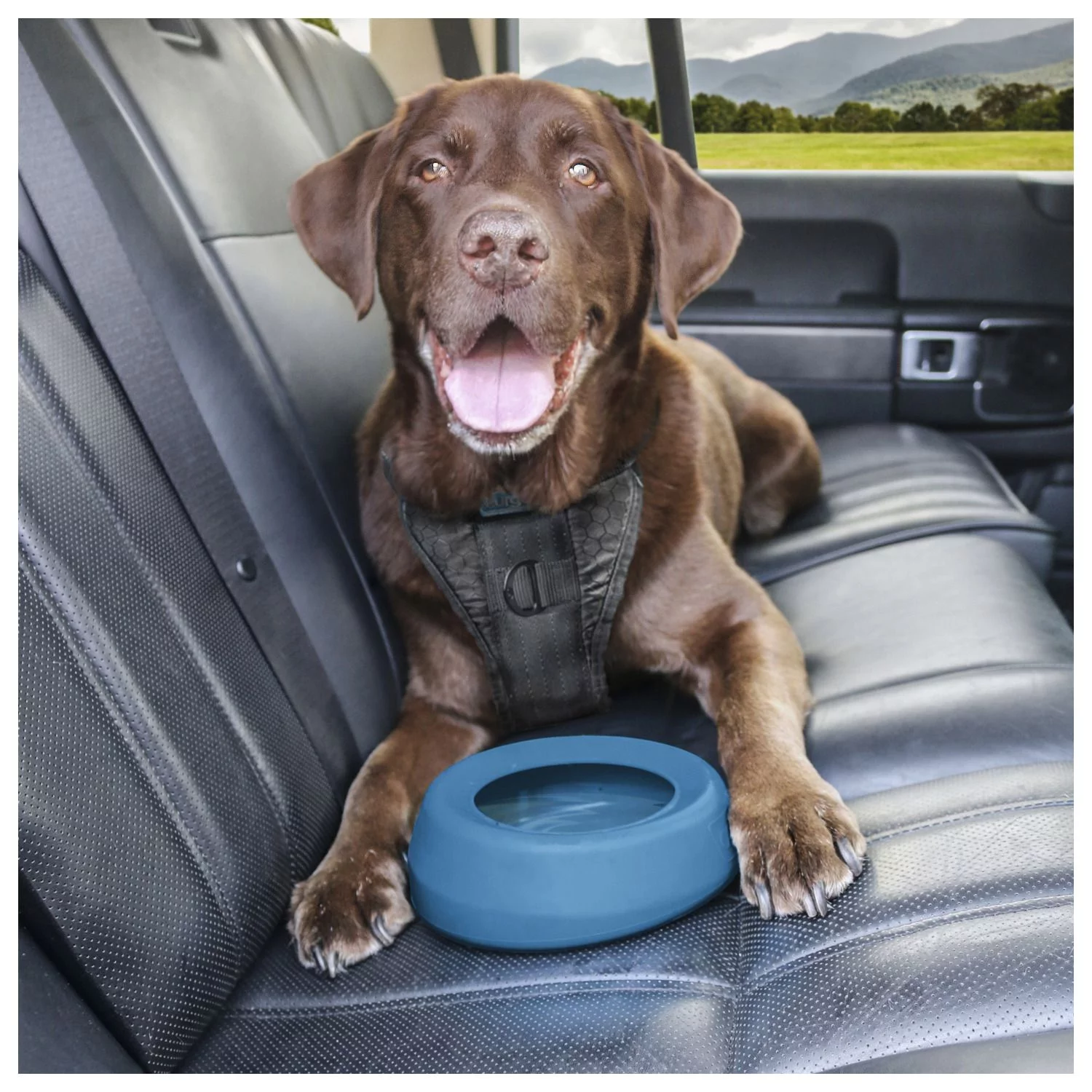 Kurgo Splash Free Wander - Hondendrinkbak - Afbeelding 8