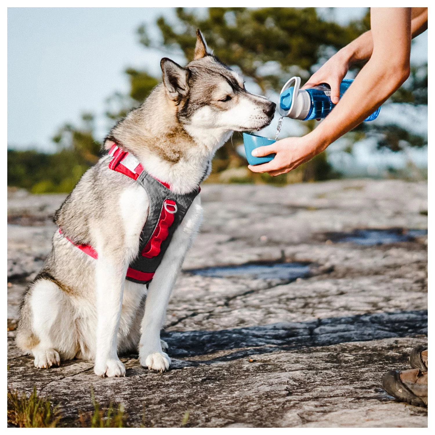 Kurgo Gourd Water Bottle - Hondendrinkbak - Afbeelding 3