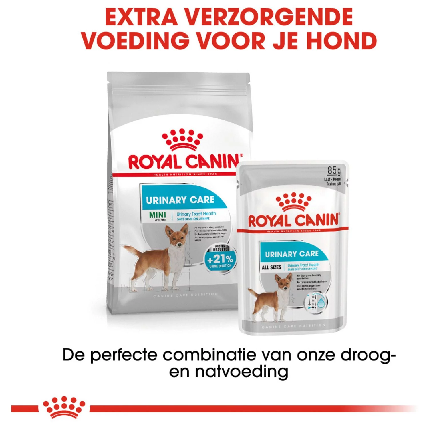 Royal Canin Urinary Care Natvoer - Hondenvoer - 12x85 G - Afbeelding 5