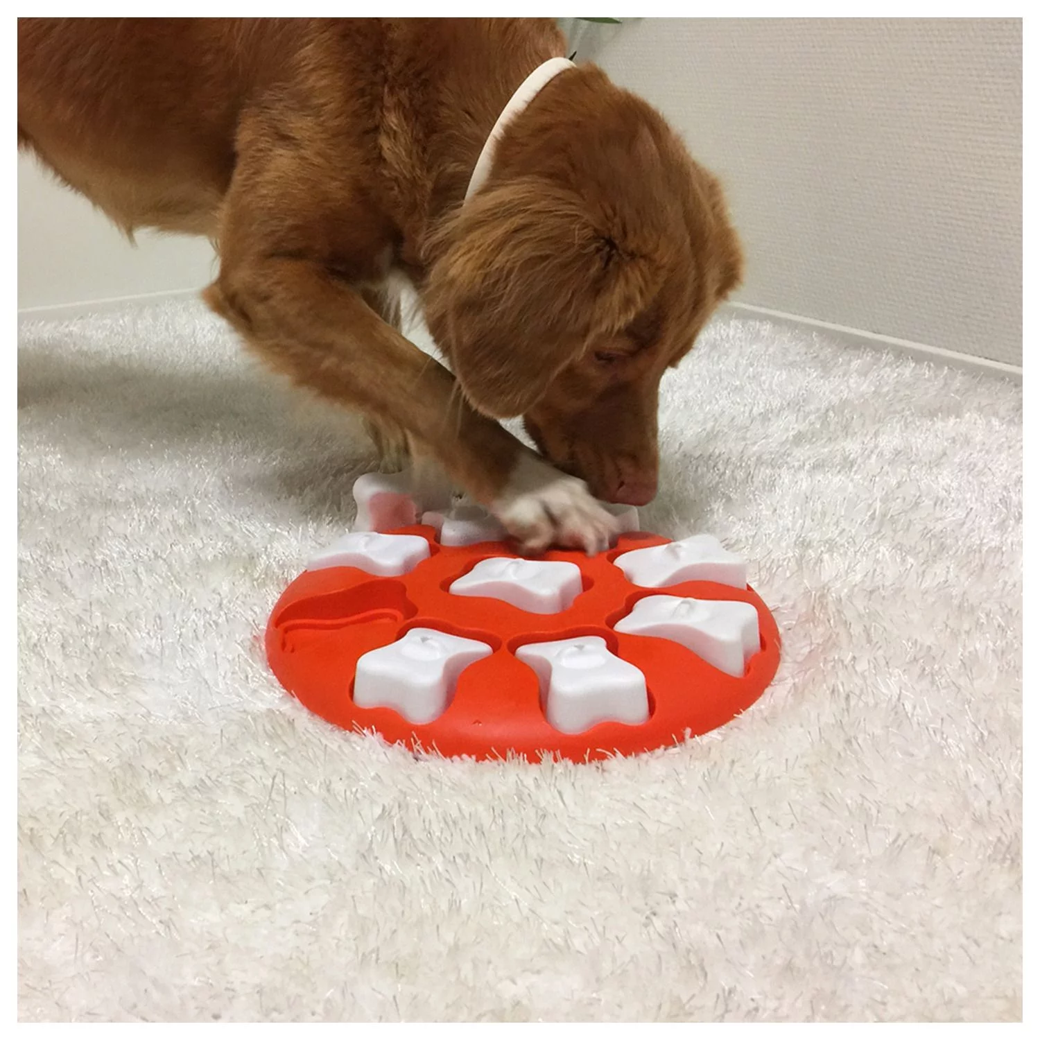 Nina Ottosson Outward Hound Dog Smart Snack Puzzel - Hondenspeelgoed - Ø 27.94x4 Cm Oranje Level 1 - Afbeelding 2