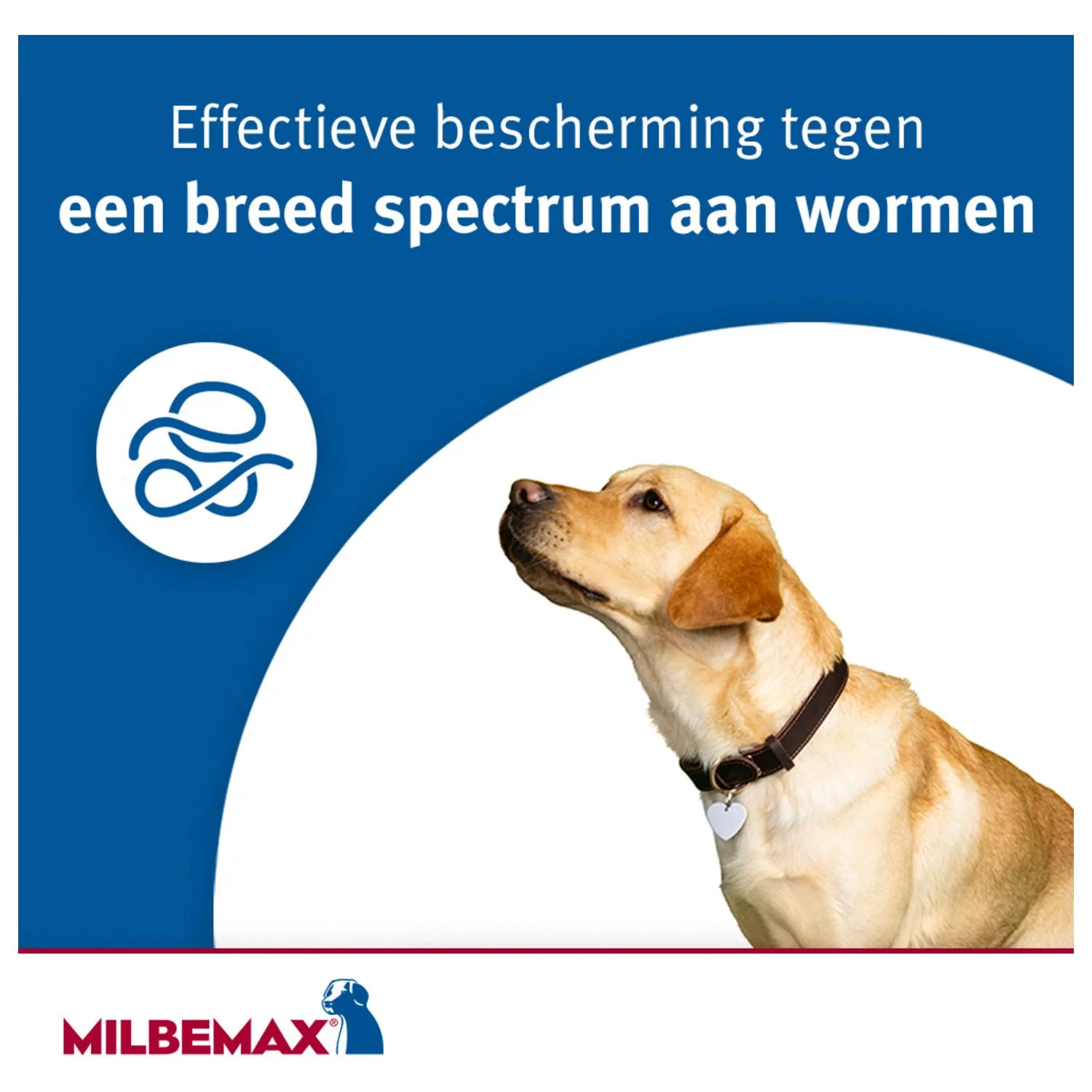 Milbemax Milbemax Hond - Anti Wormenmiddel - 2 Tab 10-50kg - Afbeelding 5