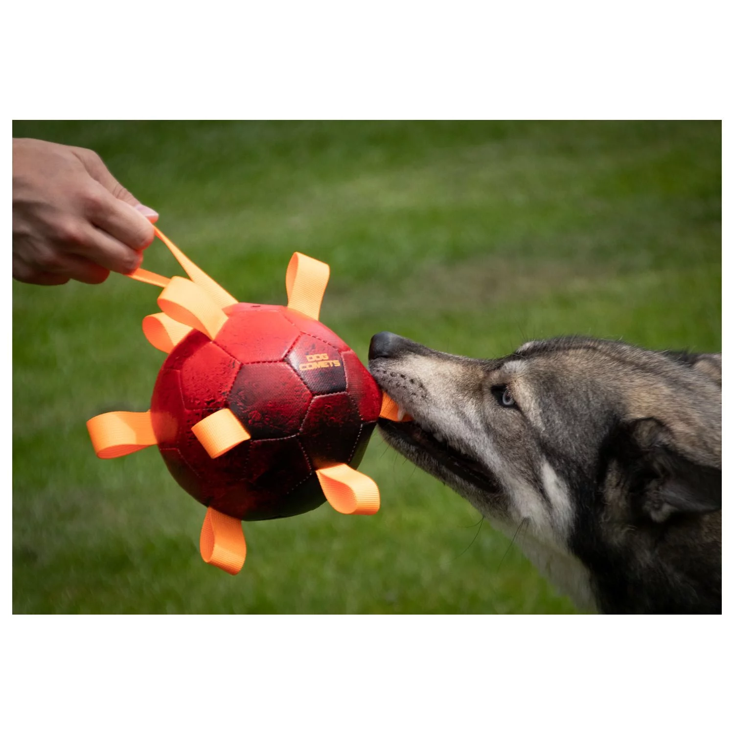 Dog Comets Hypernova 15 Cm - Hondenspeelgoed - Afbeelding 4