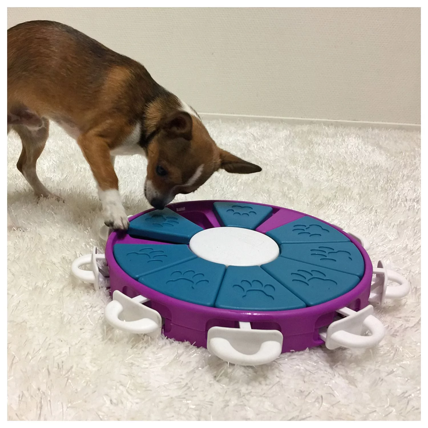 Nina Ottosson Dog Twister Prp Snack Puzzel - Hondenspeelgoed - 30x30 Cm Paars Level 3 - Afbeelding 3