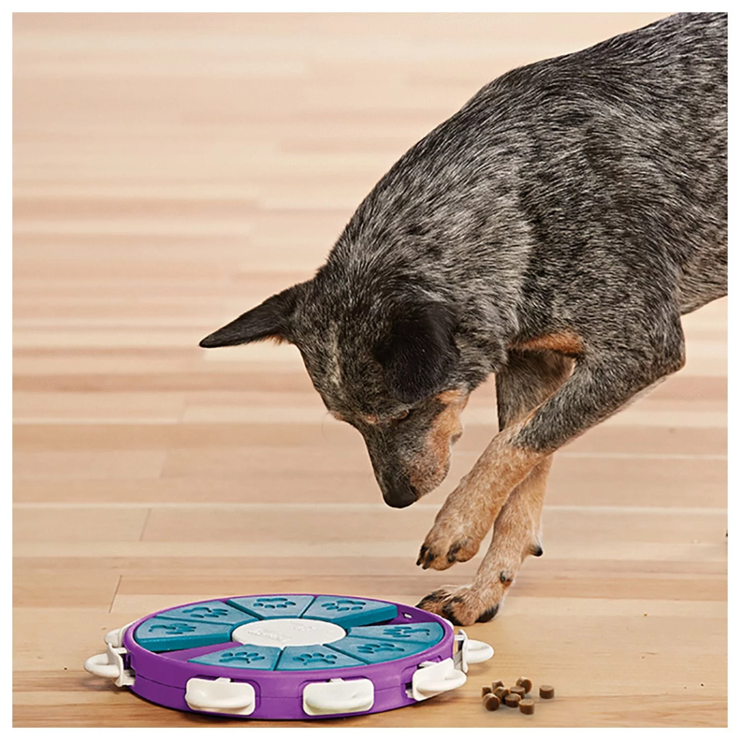 Nina Ottosson Dog Twister Prp Snack Puzzel - Hondenspeelgoed - 30x30 Cm Paars Level 3 - Afbeelding 2