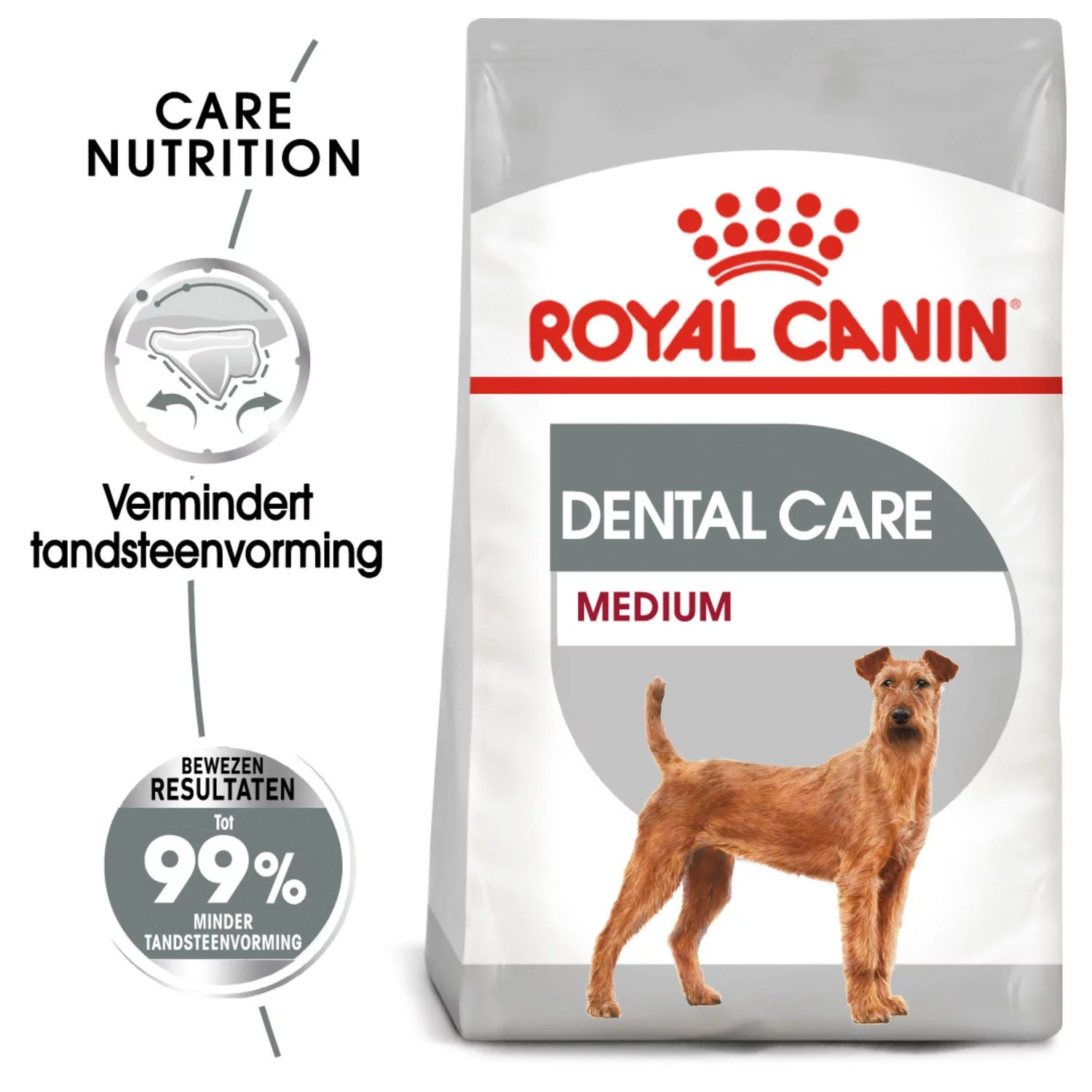 Royal Canin Dental Care Medium - Hondenvoer - Afbeelding 2
