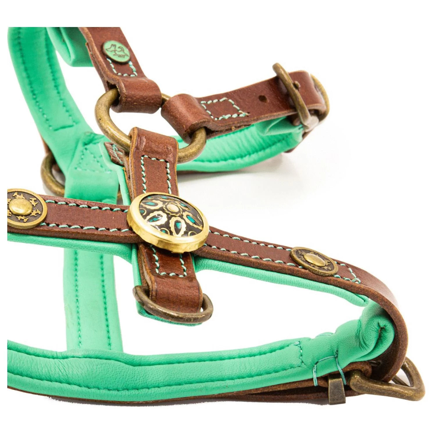 Dwam Hondentuig Rock Leer Bruin&Turquoise - Hondenharnas - Afbeelding 3