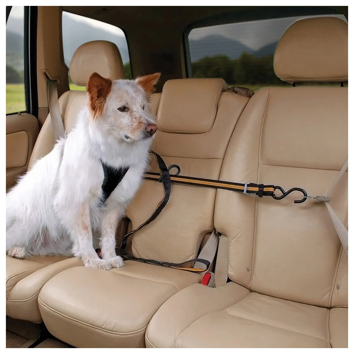 Kurgo Auto Zip Line - Hondenautoaccessoire - Zwart Oranje - Afbeelding 9