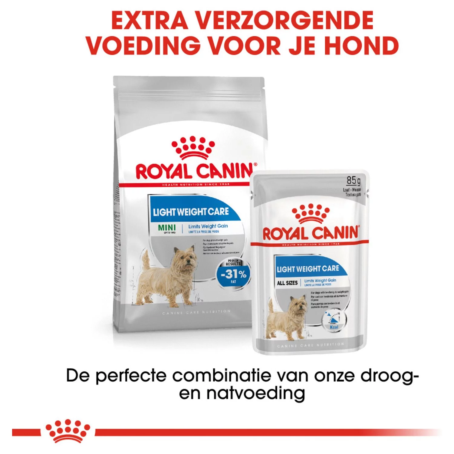 Royal Canin Light Weight Care Natvoer - Hondenvoer - 12x85 G - Afbeelding 5