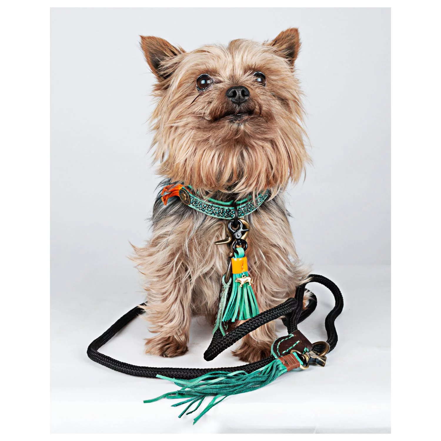 Dwam Looplijn Sand Touw - Hondenriem - 155x1 Cm Zwart S - Afbeelding 2