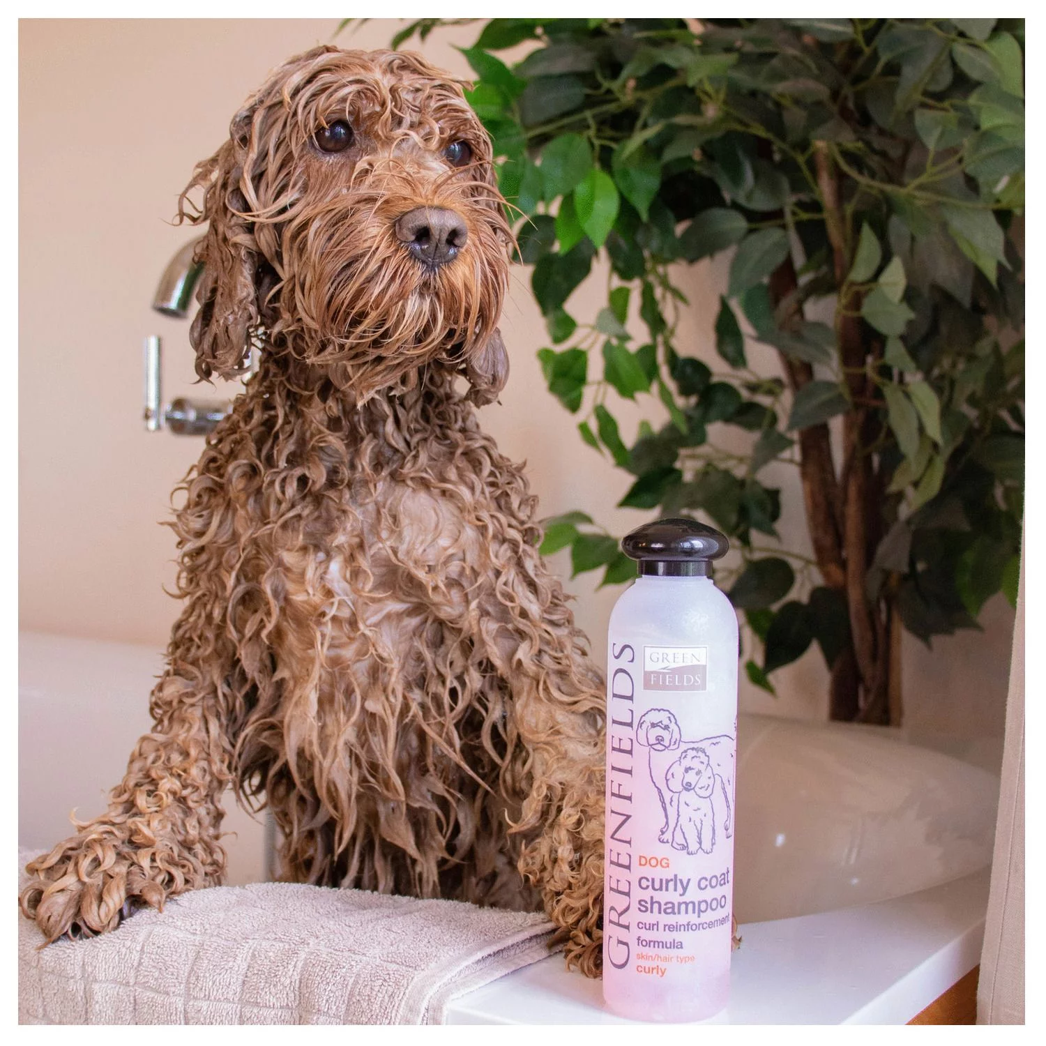 Greenfields Labradoodle Care Set - Hondenvachtverzorging - 2 X 250 Mm Roze - Afbeelding 6