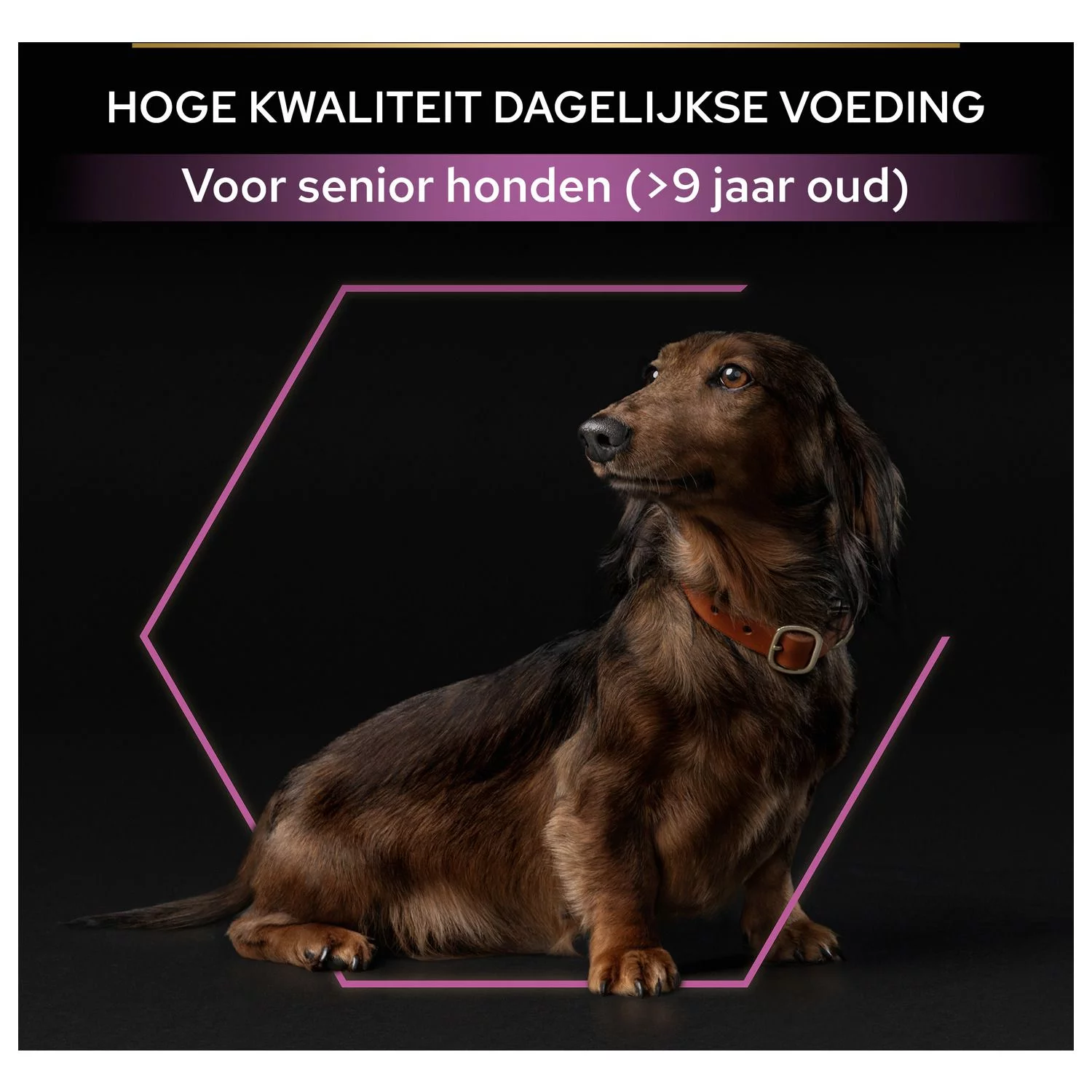 Pro Plan Dog Senior Small & Mini Breed - Hondenvoer - Kip 3 Kg - Afbeelding 10