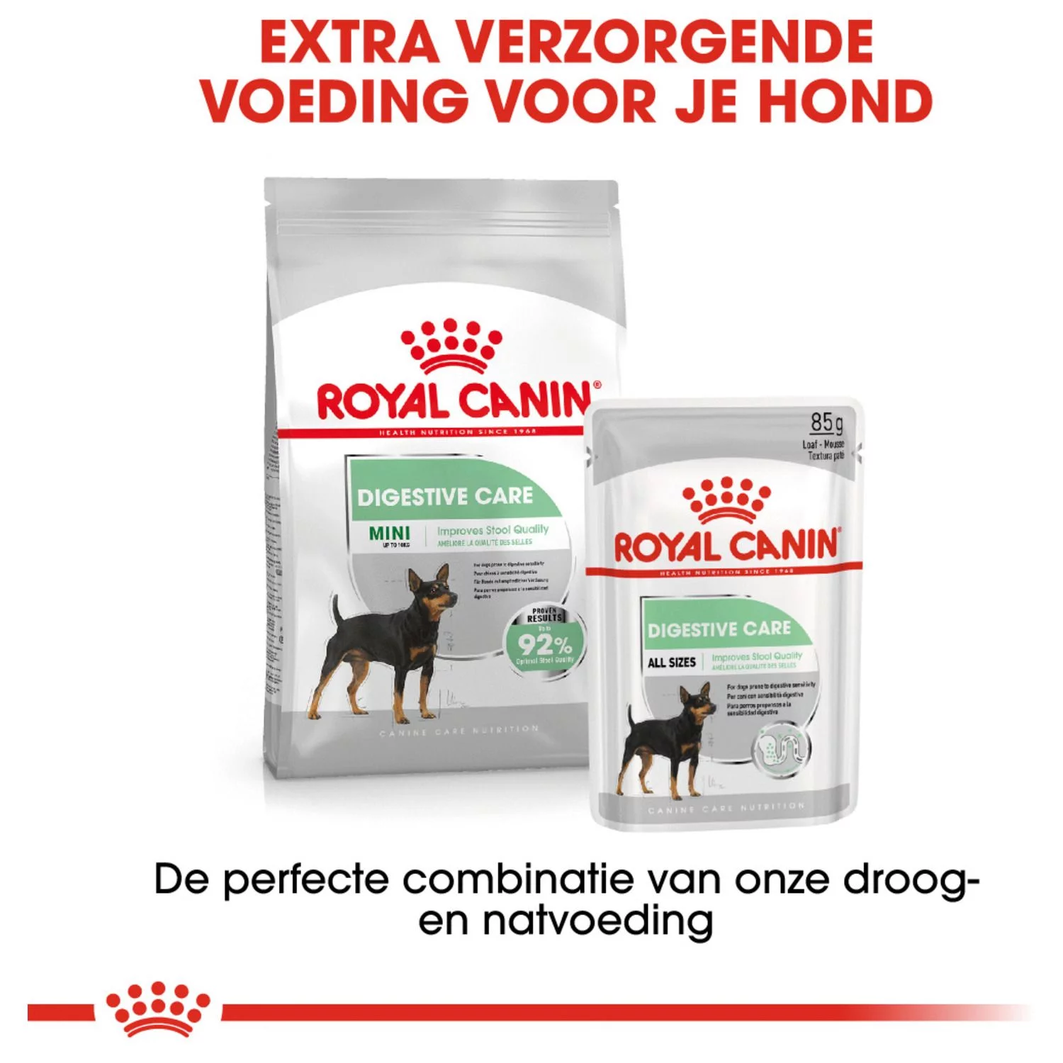 Royal Canin Digestive Care Natvoer - Hondenvoer - 12x85 G - Afbeelding 5