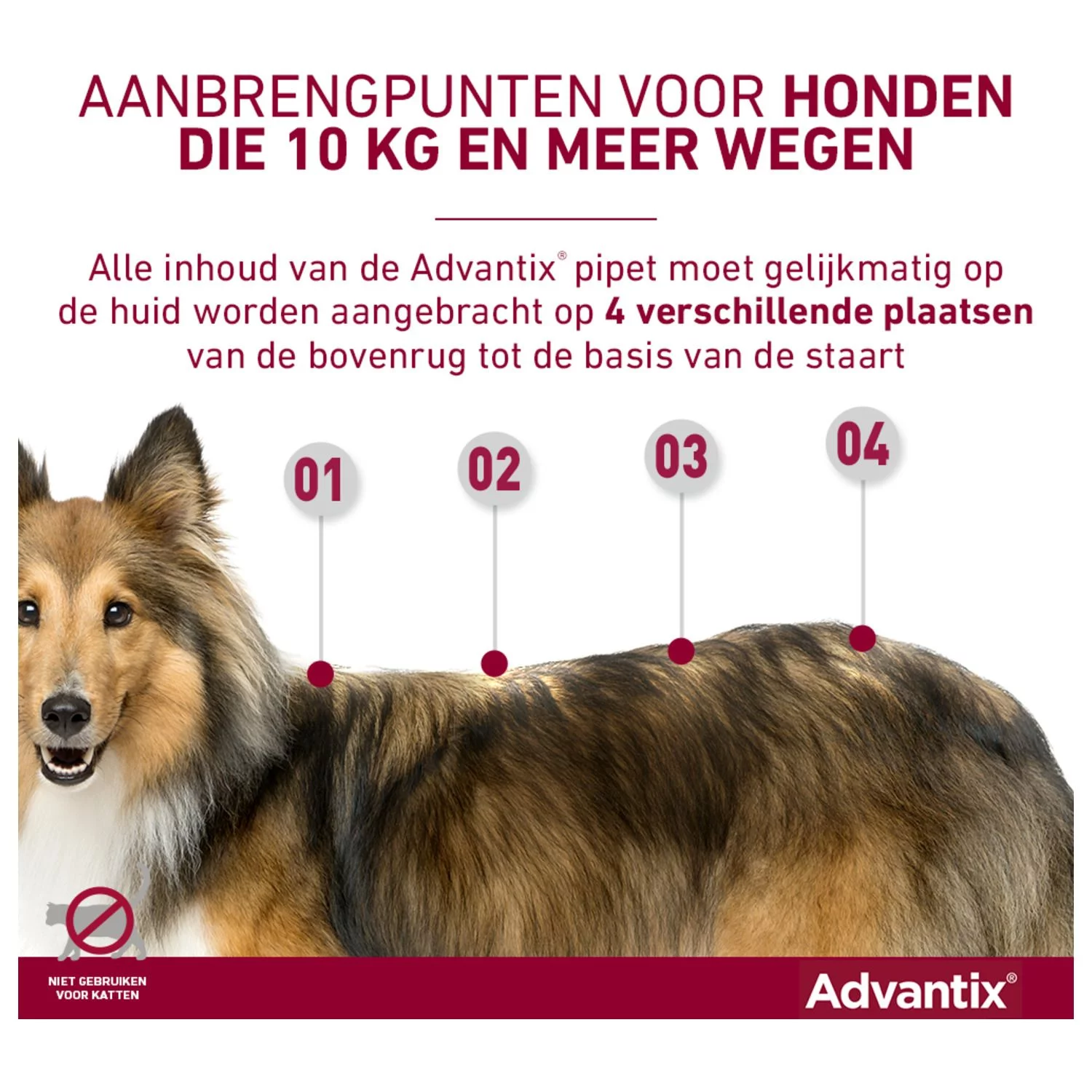 Advantix Spot On 40 0.4 Ml - Anti Vlooien En Tekenmiddel - Afbeelding 5
