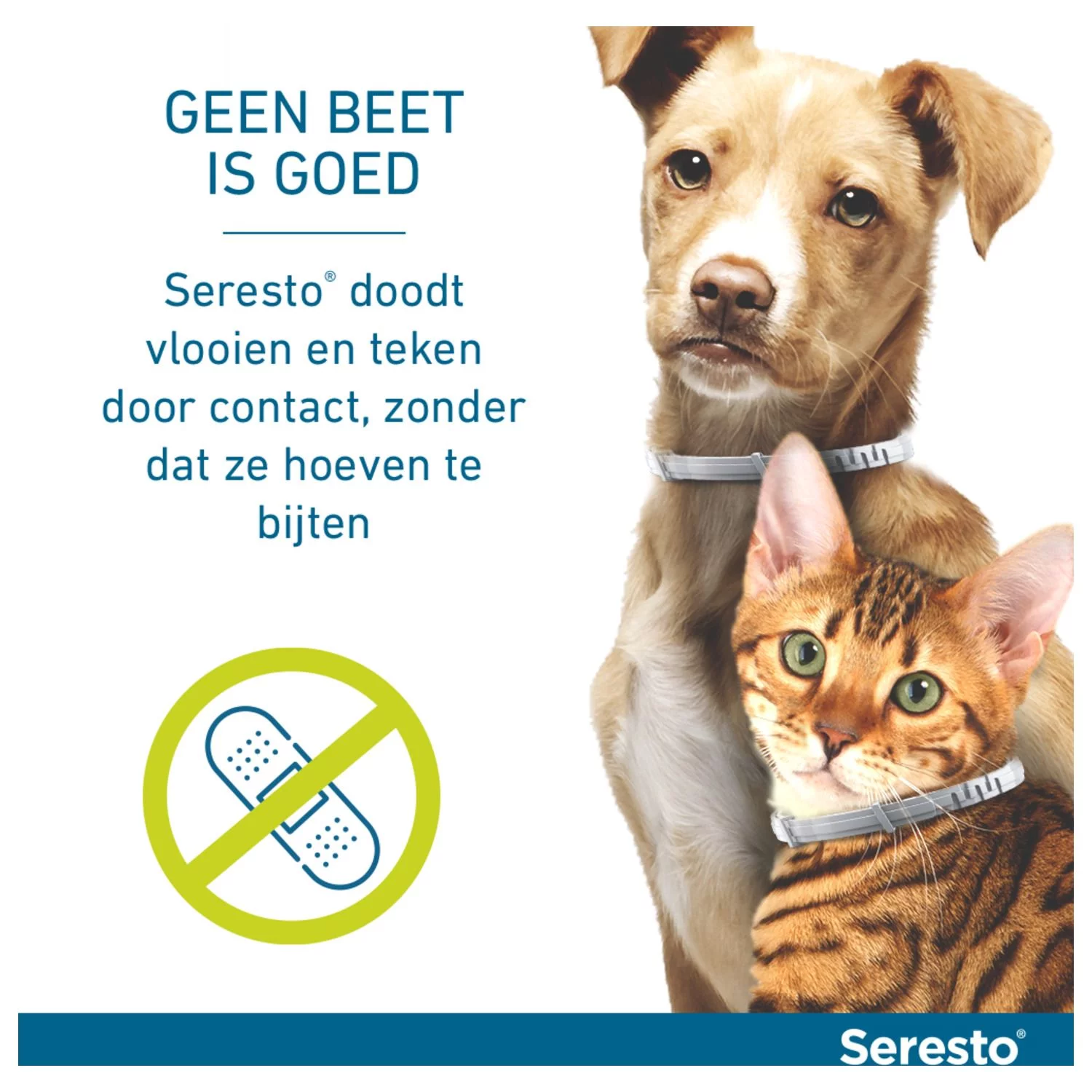 Seresto Teken- En Vlooienband Large - Anti Tekenmiddel - Afbeelding 8