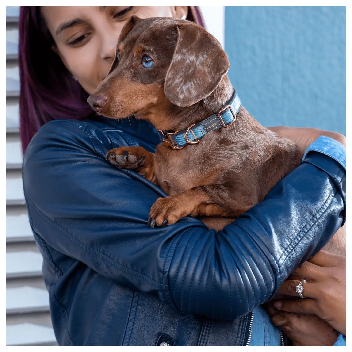 Rogz Urban Halsband Goud&Grijs&Rosé - Hondenhalsband - Afbeelding 2