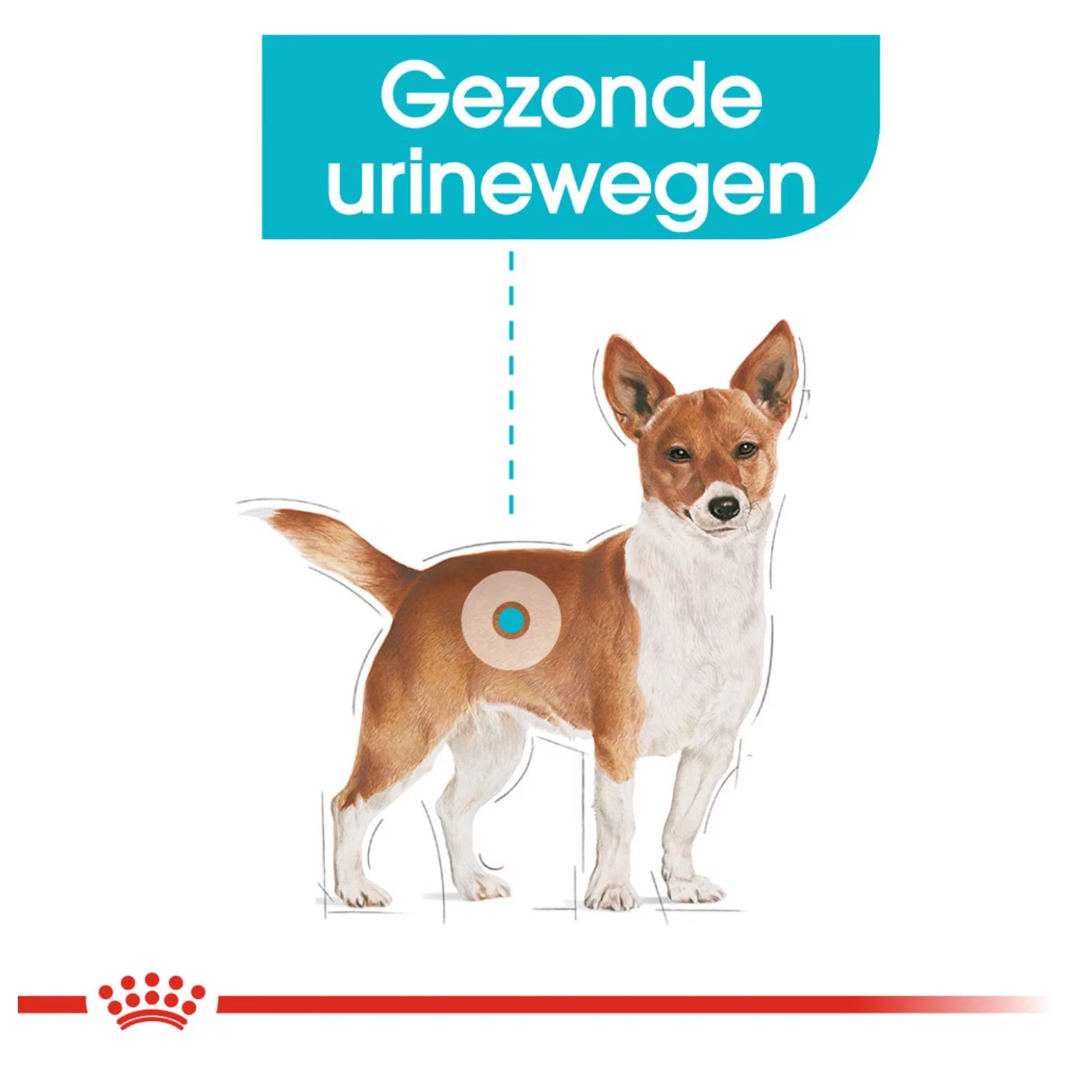 Royal Canin Urinary Care Natvoer - Hondenvoer - 12x85 G - Afbeelding 2