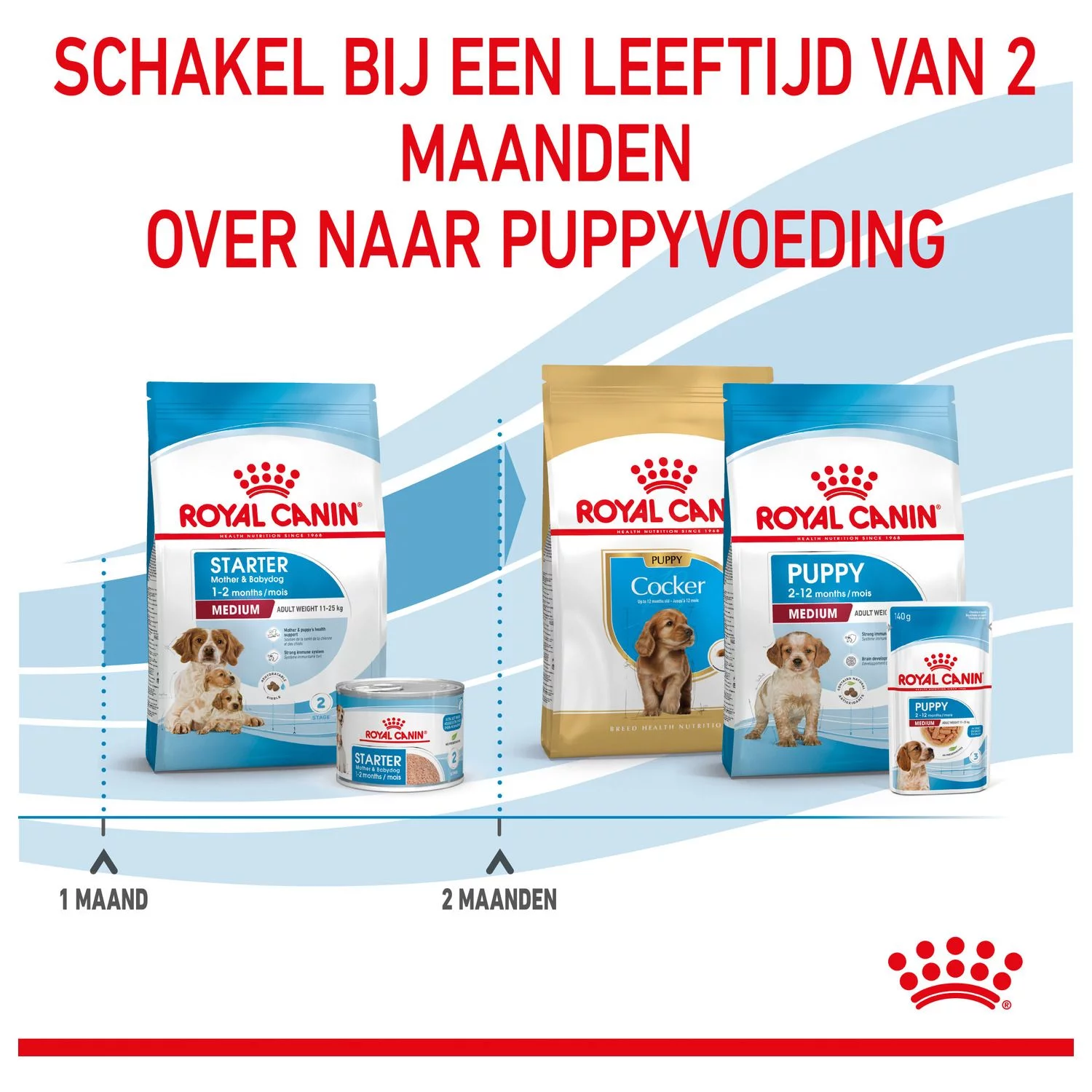 Royal Canin Medium Starter Mother & Babydog - Puppy-Hondenvoer - Afbeelding 6