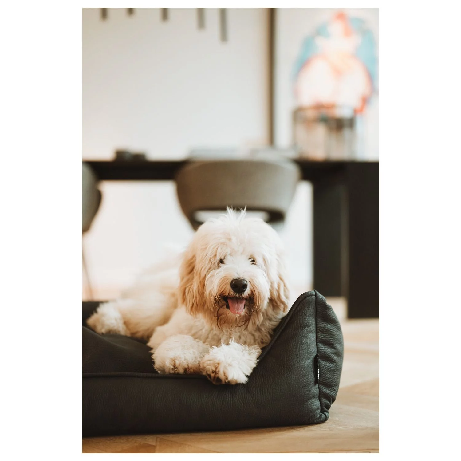 Maxxnobel Ultra Orthopedische Sofa Lederlook Zwart - Hondenbank - Afbeelding 5