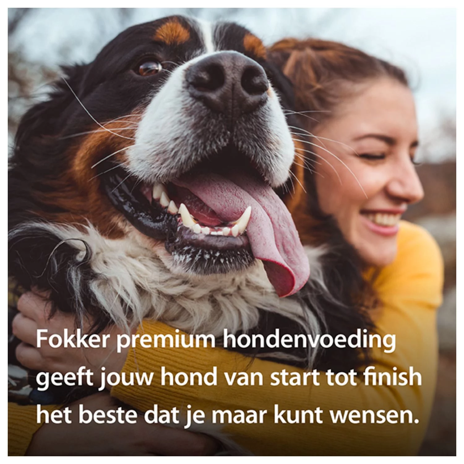 Fokker Dog Nutri-Fit L Kip - Hondenvoer - Afbeelding 4