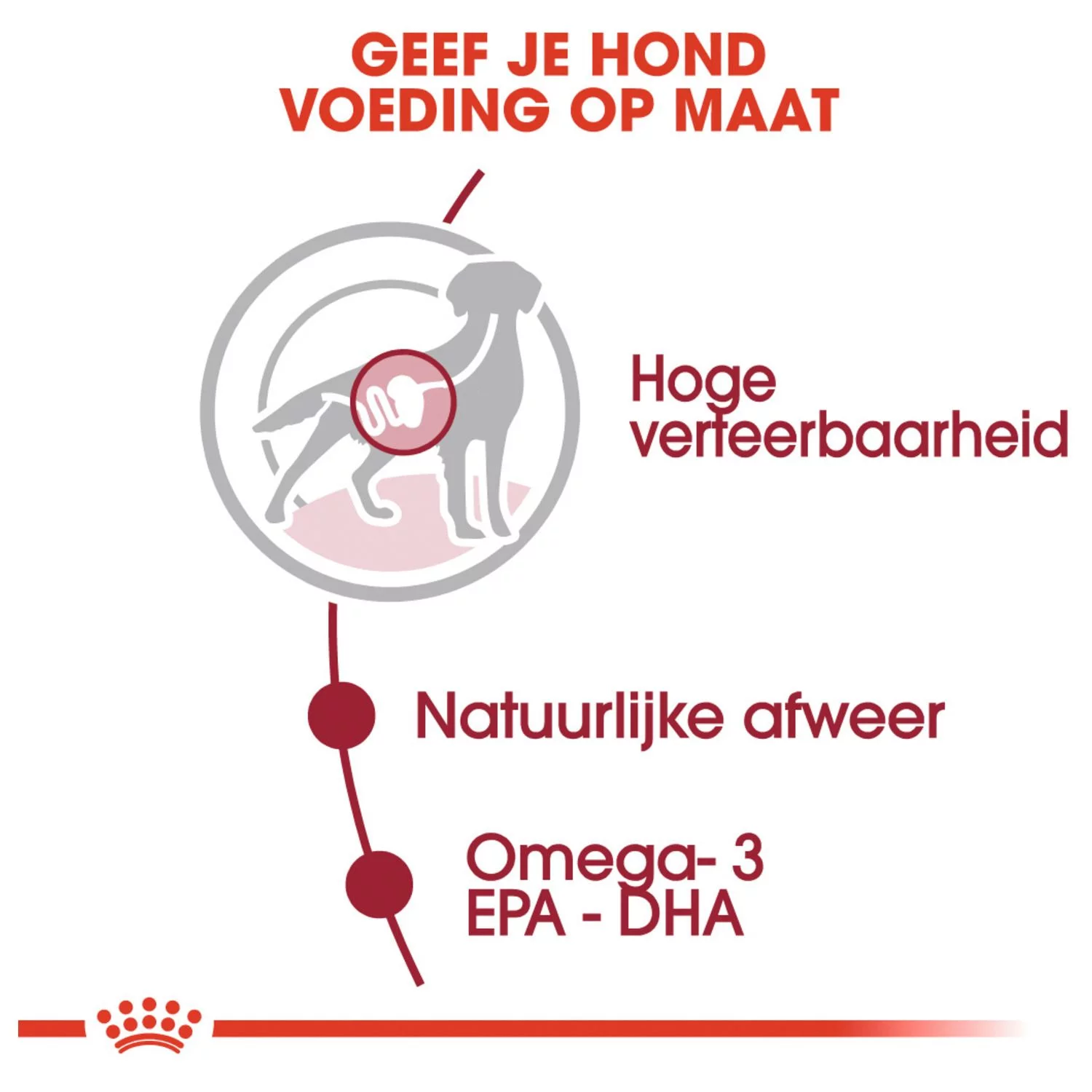 Royal Canin Medium Adult Natvoer - Hondenvoer - 10x140 G - Afbeelding 2