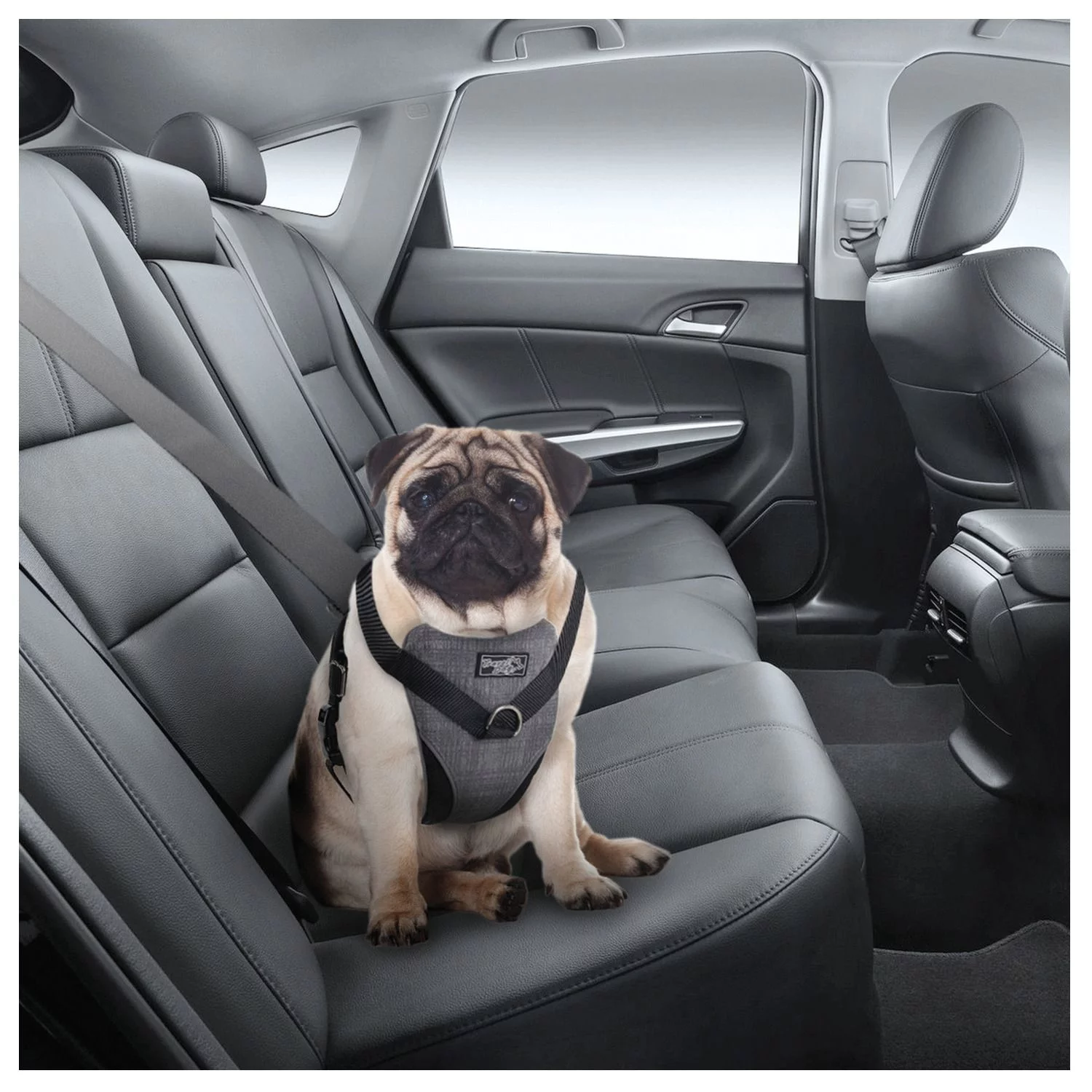 All For Paws Honden Autogordel - Hondenautoaccessoire - Nek30-50/Borst 41-56 Cm Grijs - Afbeelding 4