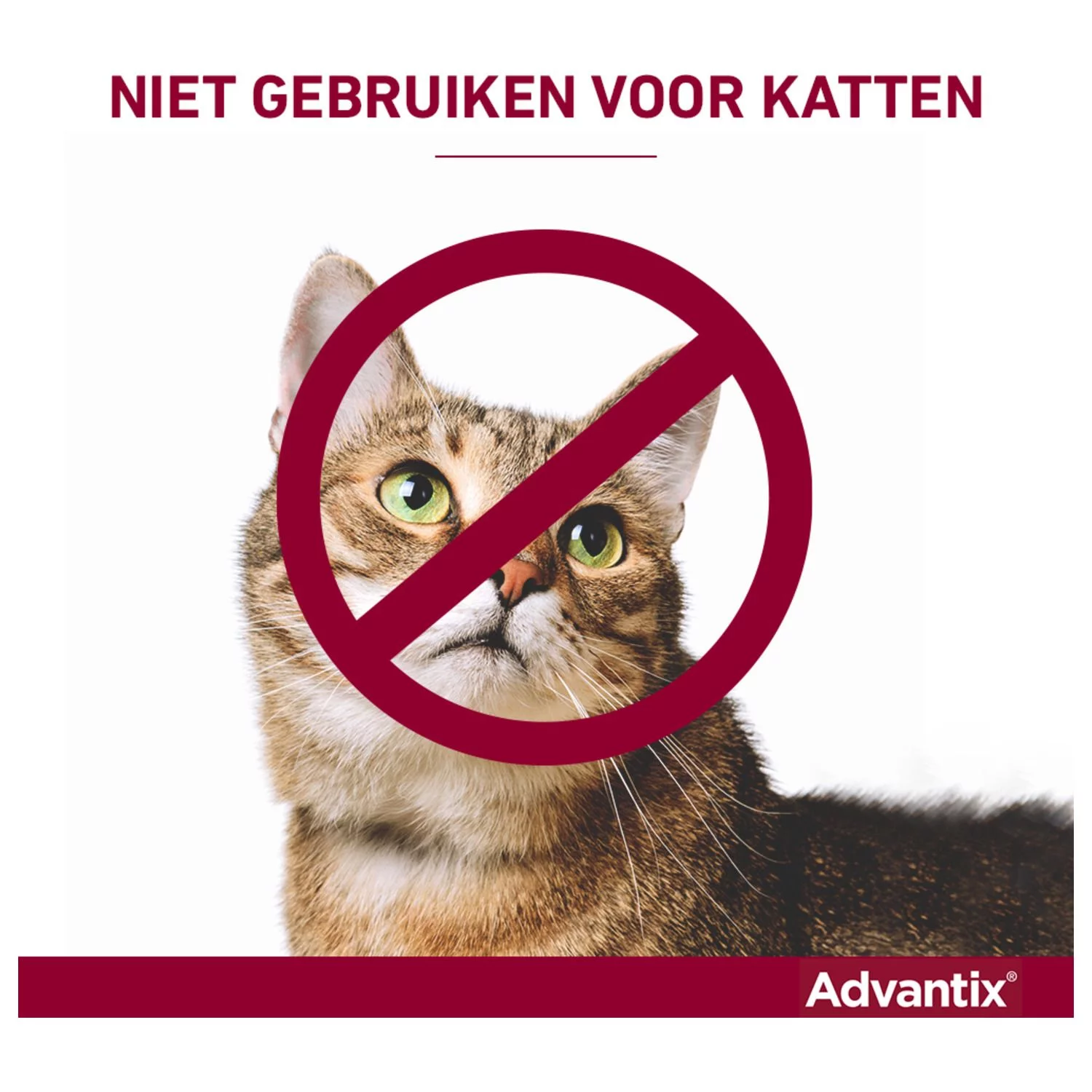 Advantix Spot On 400 4 Ml - Anti Vlooien En Tekenmiddel - Afbeelding 6