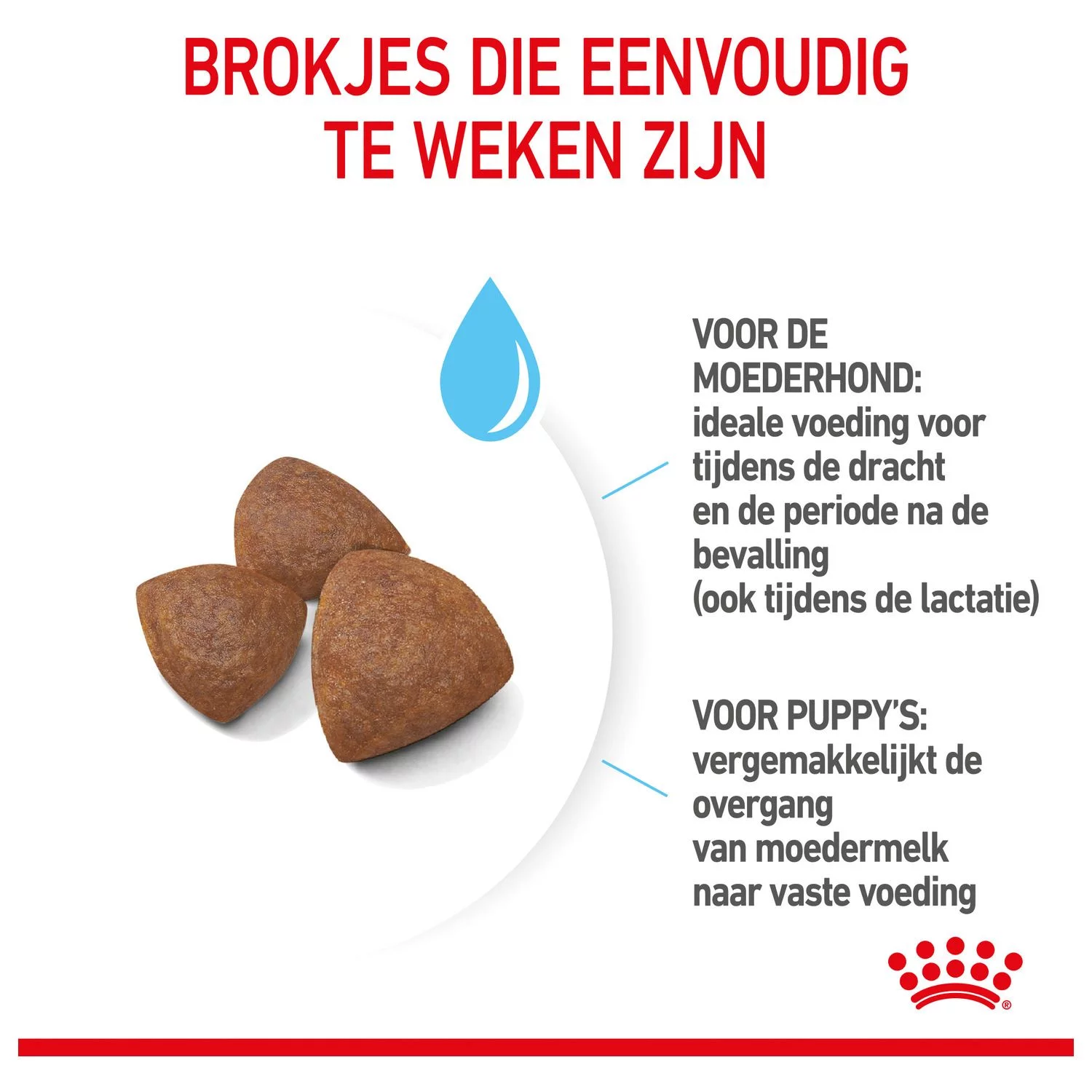 Royal Canin Medium Starter Mother & Babydog - Puppy-Hondenvoer - Afbeelding 5
