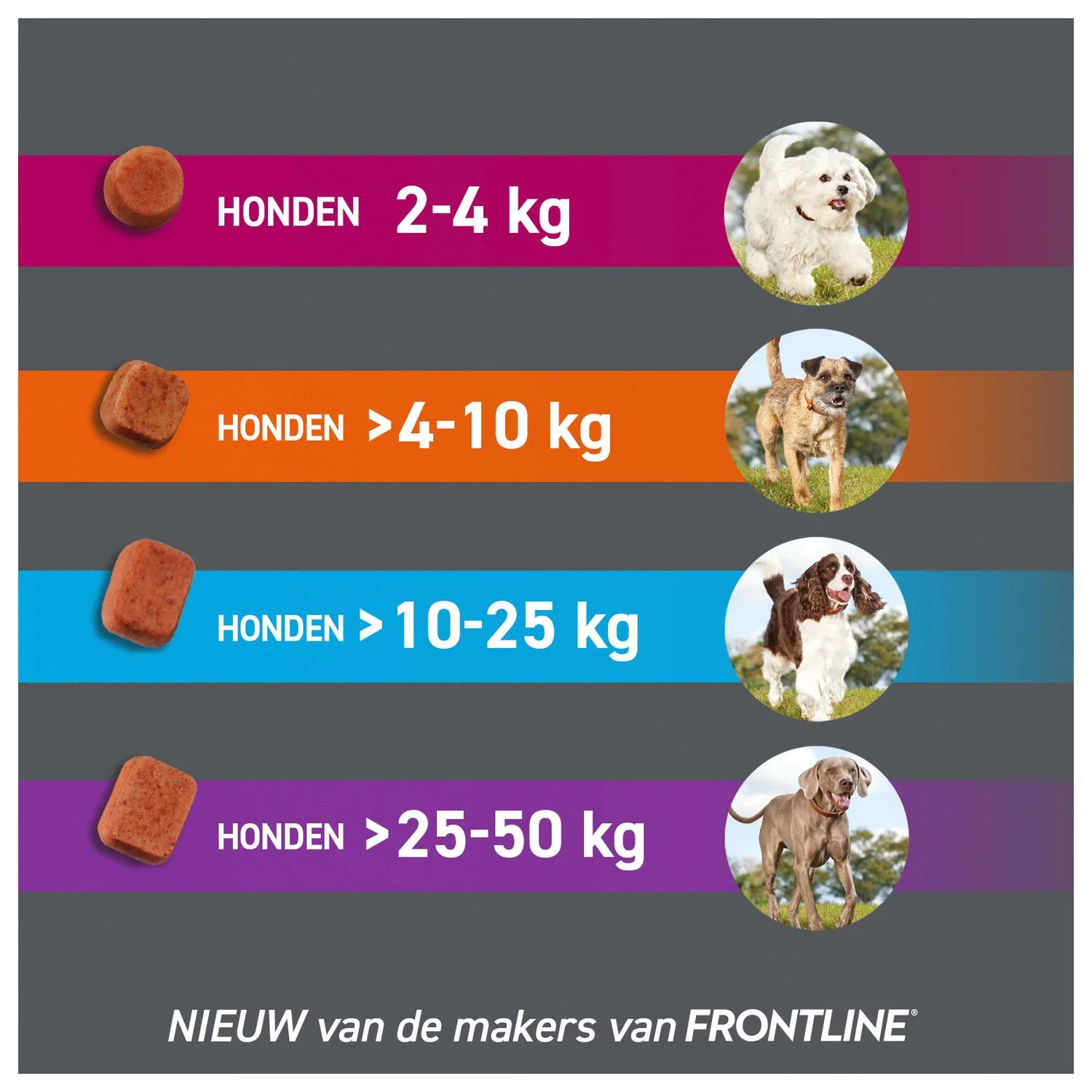 Frontpro Hond - Anti Vlooien En Tekenmiddel - >2-4 Kg Small - Afbeelding 9