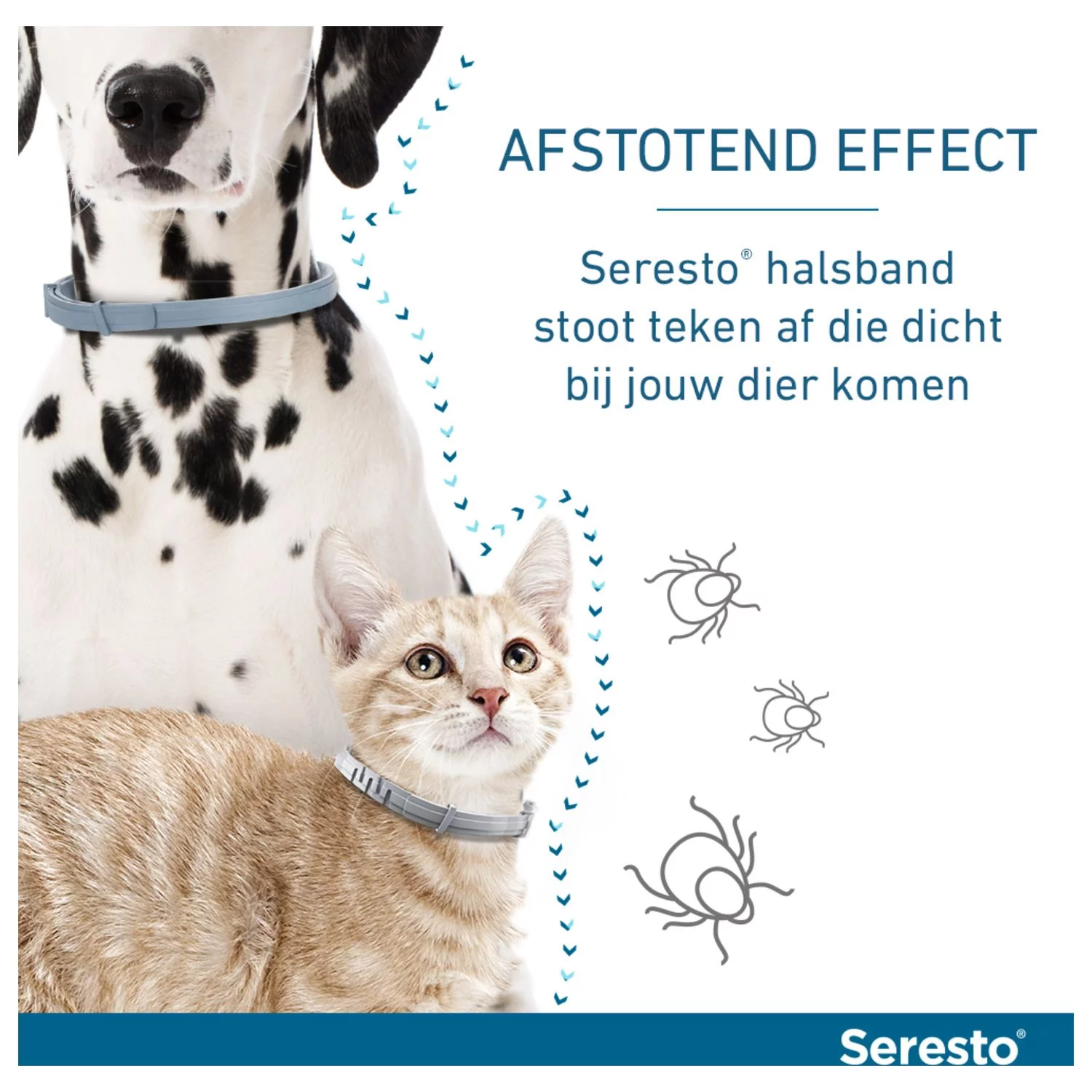 Seresto Teken- En Vlooienband Large - Anti Tekenmiddel - Afbeelding 7