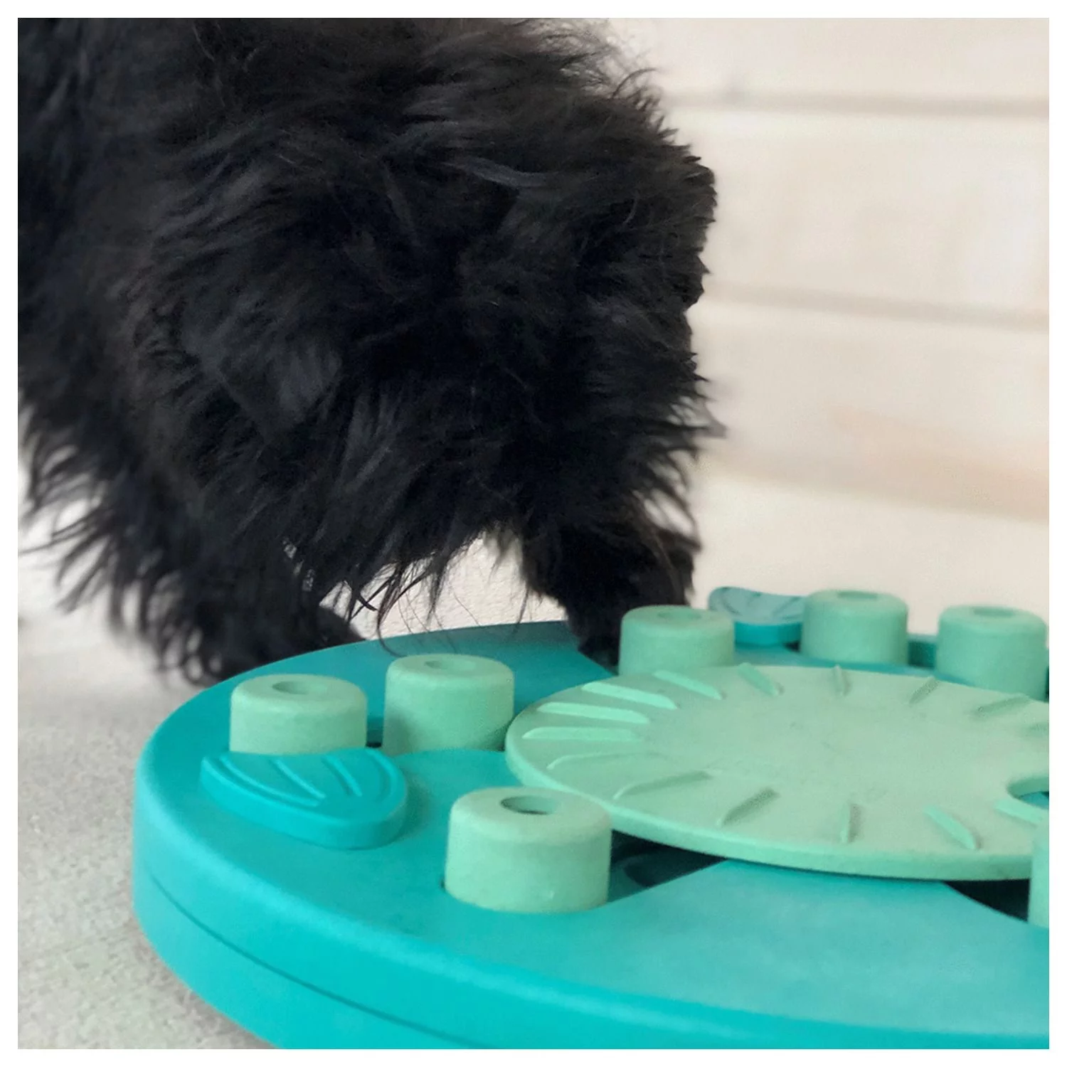 Nina Ottosson Dog Worker Snack Puzzel - Hondenspeelgoed - Ø34.5 Cm Groen Level 3 - Afbeelding 4