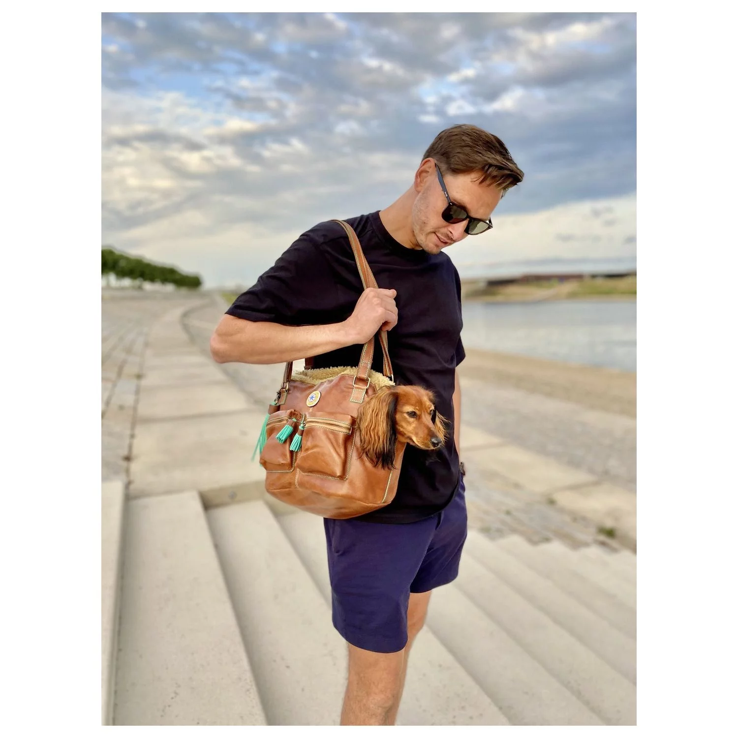 Dwam Hondentas Hipster Bag Blondie - Hondendraagtas - 32x20x27 Cm Bruin - Afbeelding 6